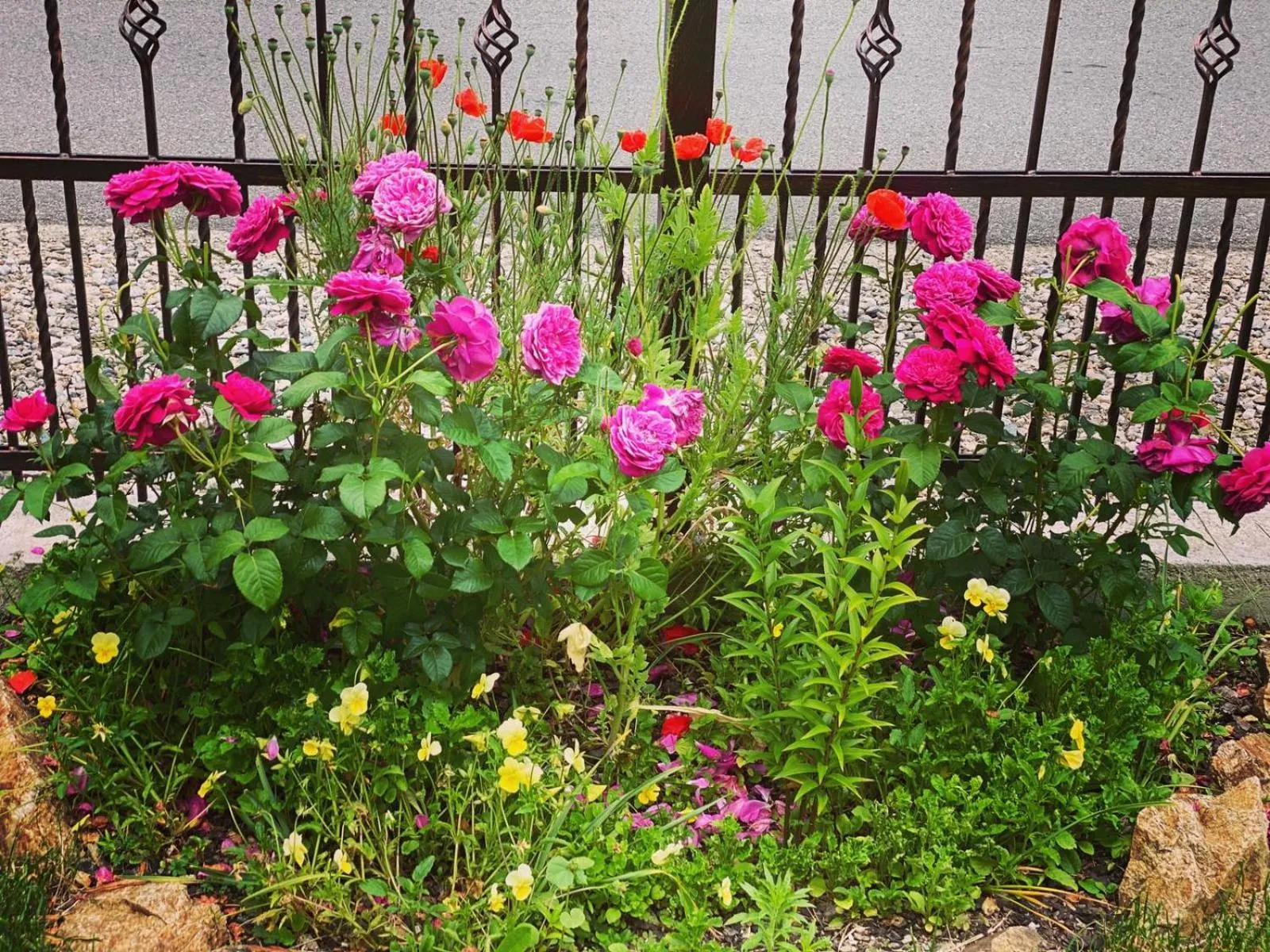 Garden in Maison Platanus
