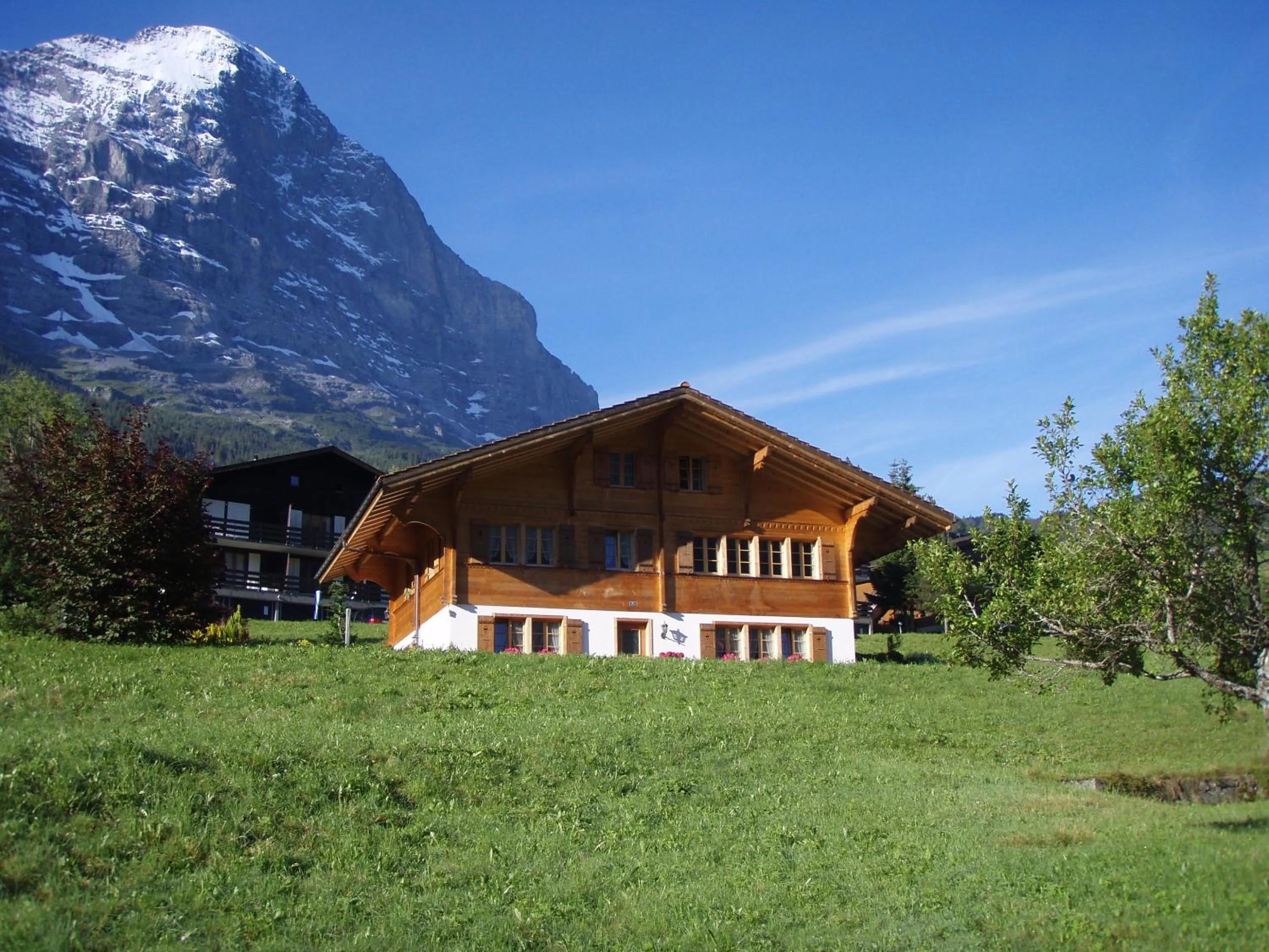 Mountain view in Chalet Asterix