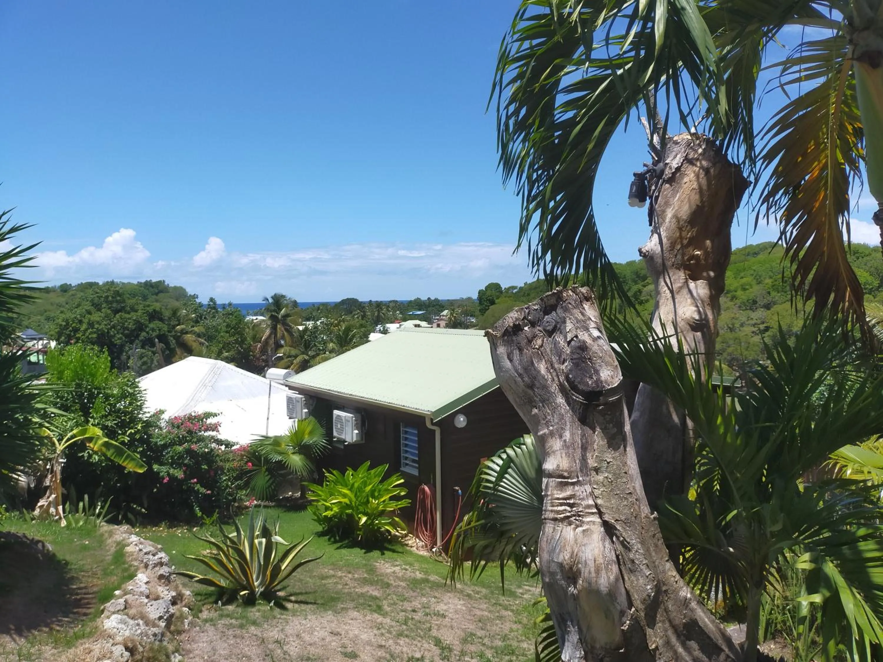Garden in Ti Village Creole
