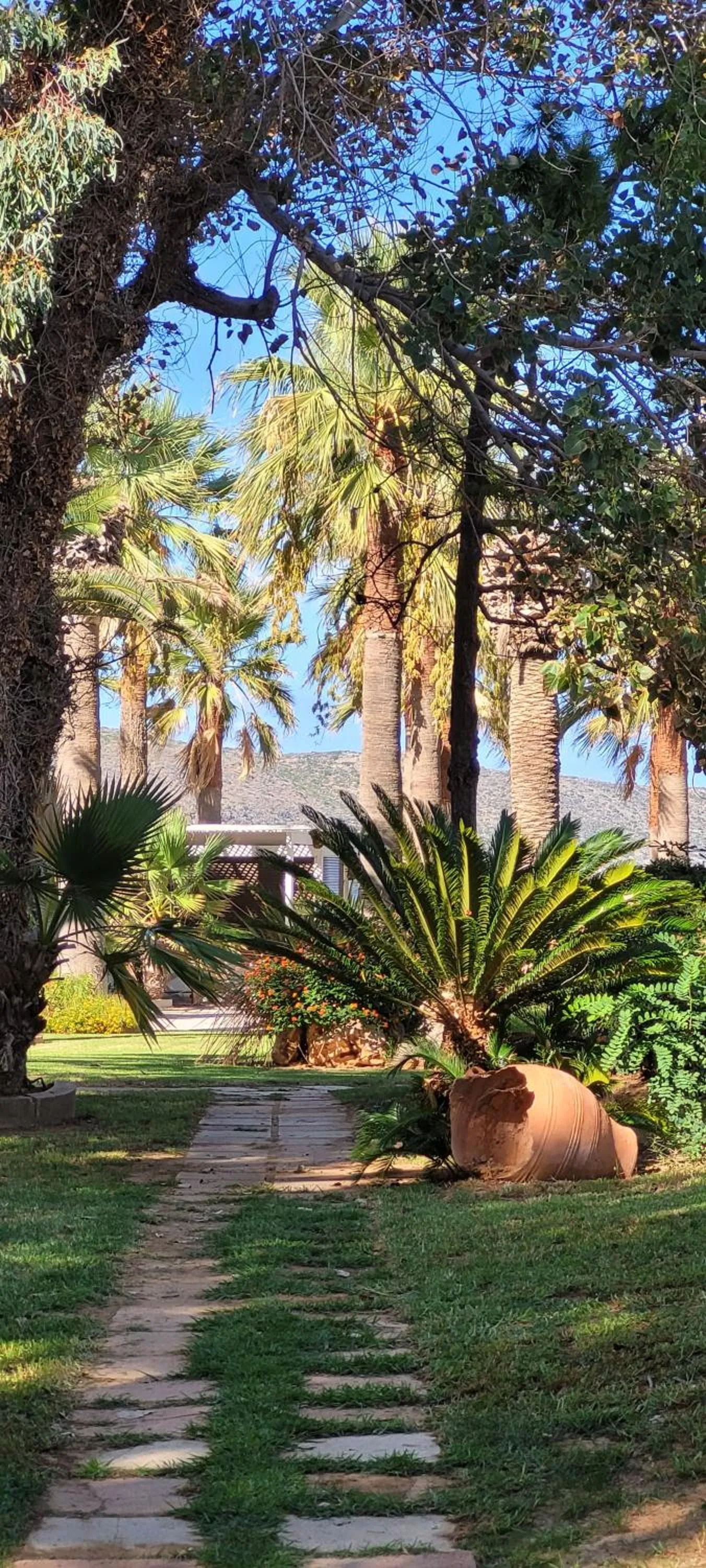 Garden in Marita's Apartments