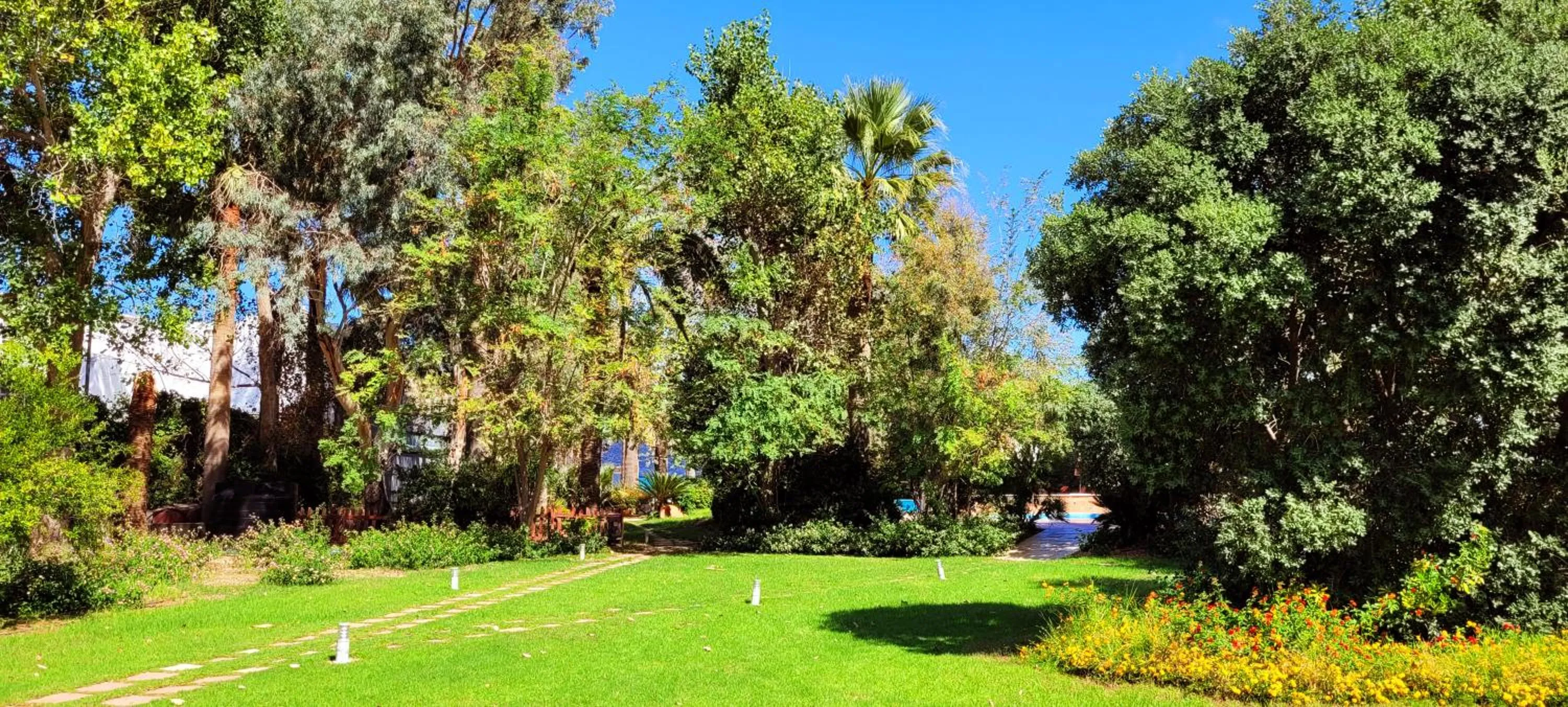 Garden in Marita's Apartments