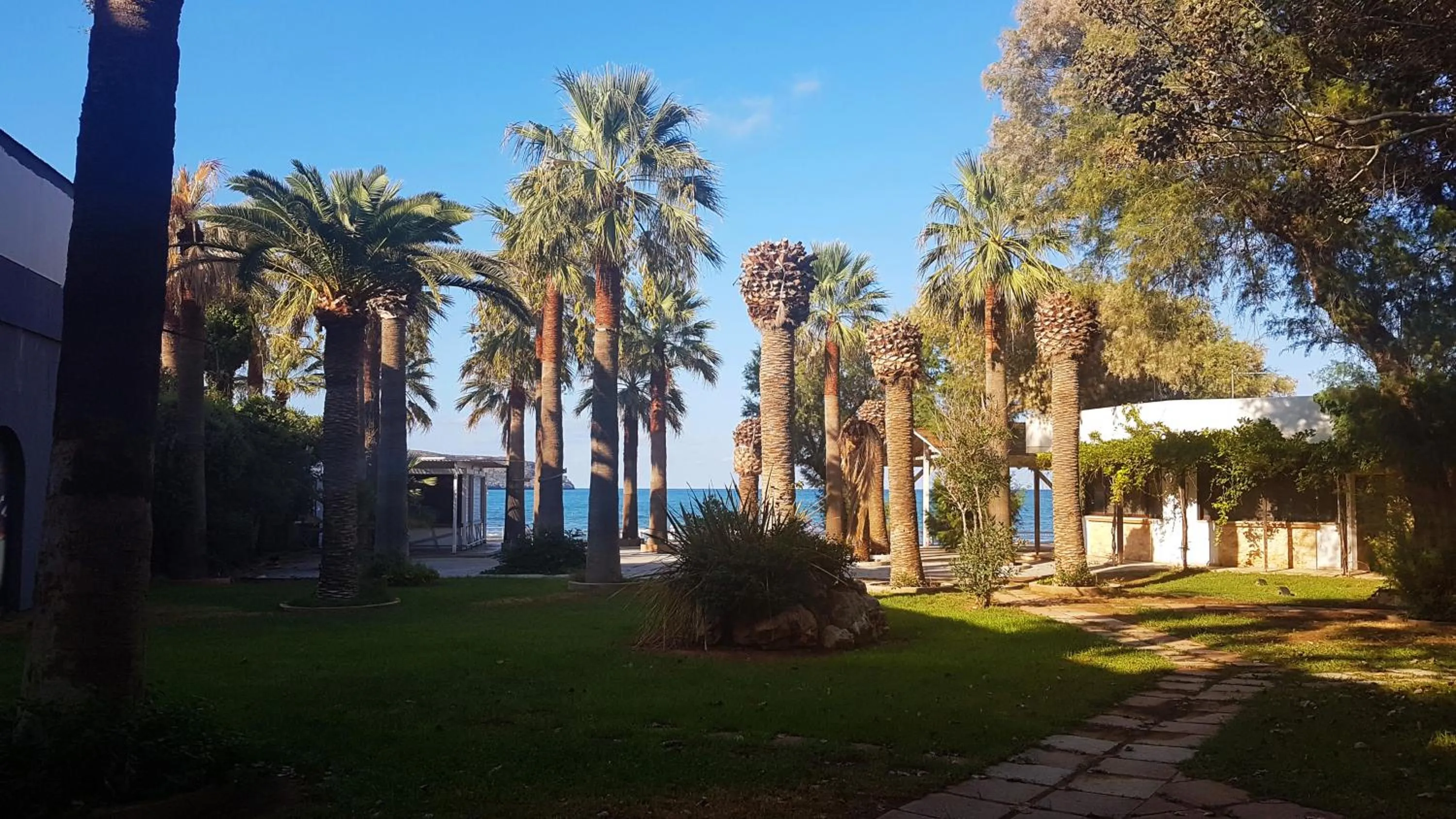 Garden in Marita's Apartments