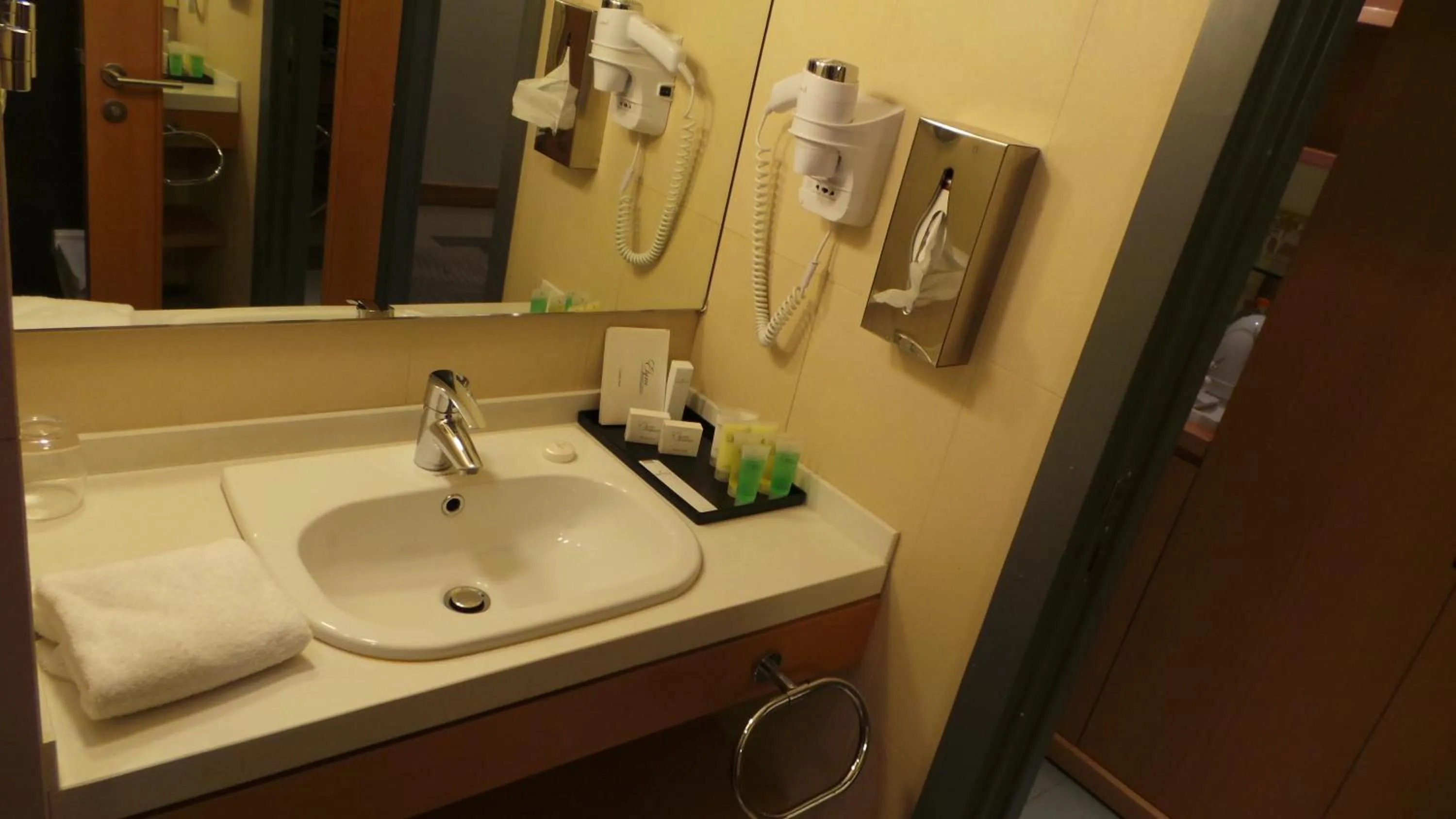 Bathroom in Amman Airport Hotel