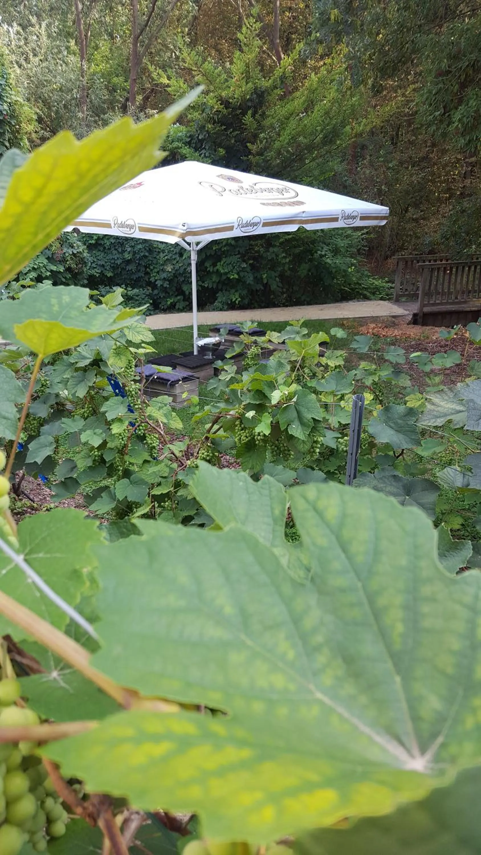 Decorative detail in Hotel Wippertal - voll klimatisiert