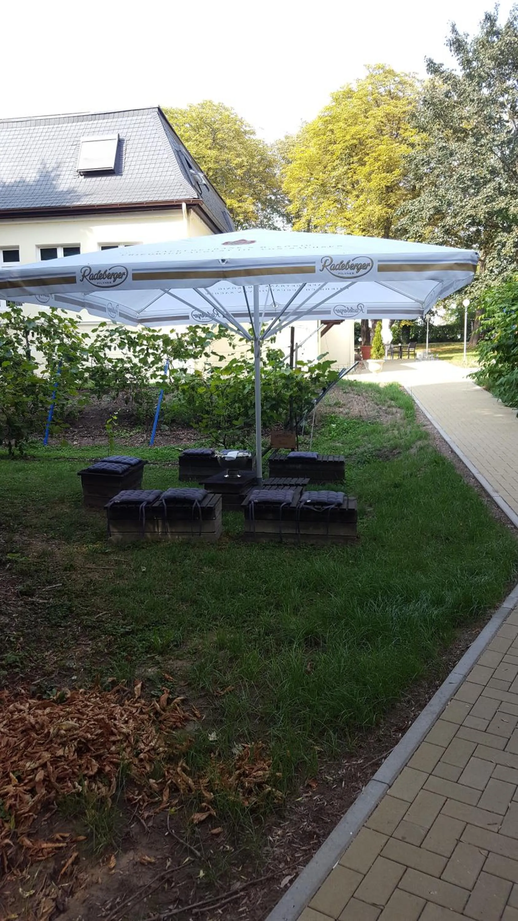 Garden in Hotel Wippertal - voll klimatisiert