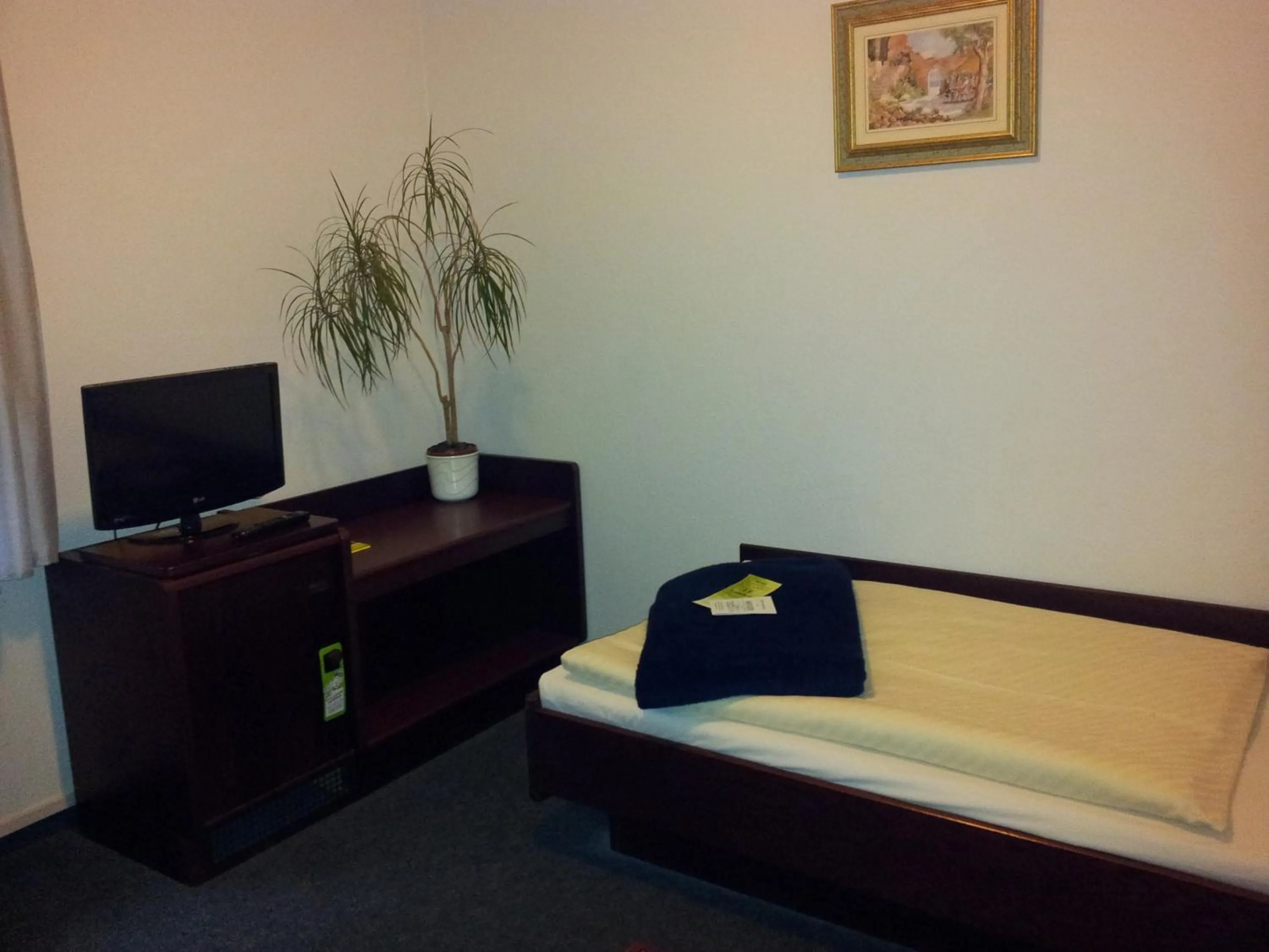 TV and multimedia, Bed in Hotel Wippertal - voll klimatisiert