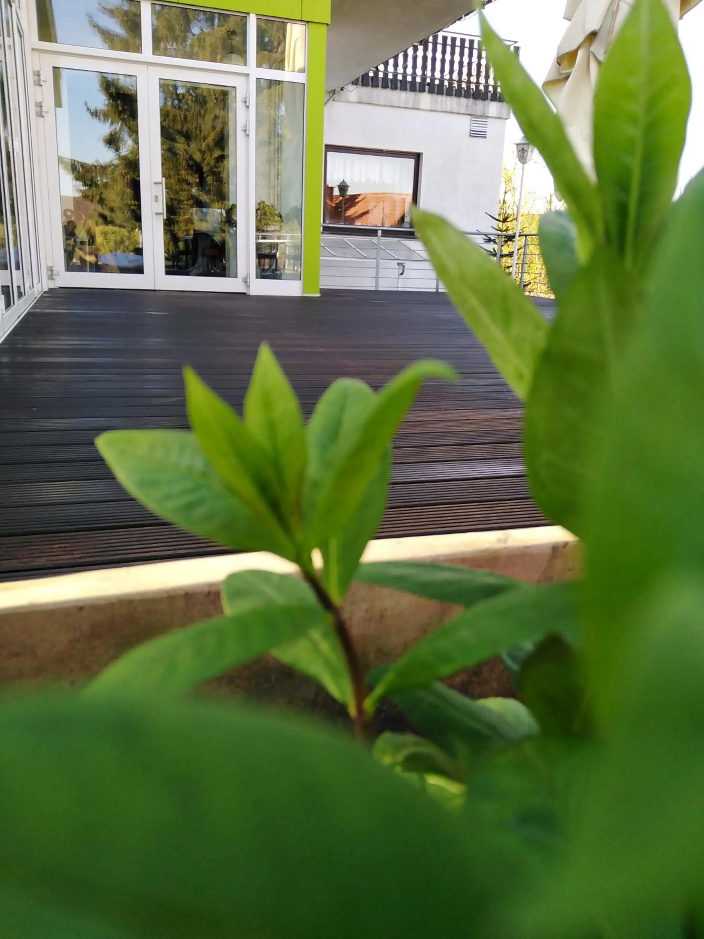 Balcony/Terrace in Hotel Fröhlich-Höche