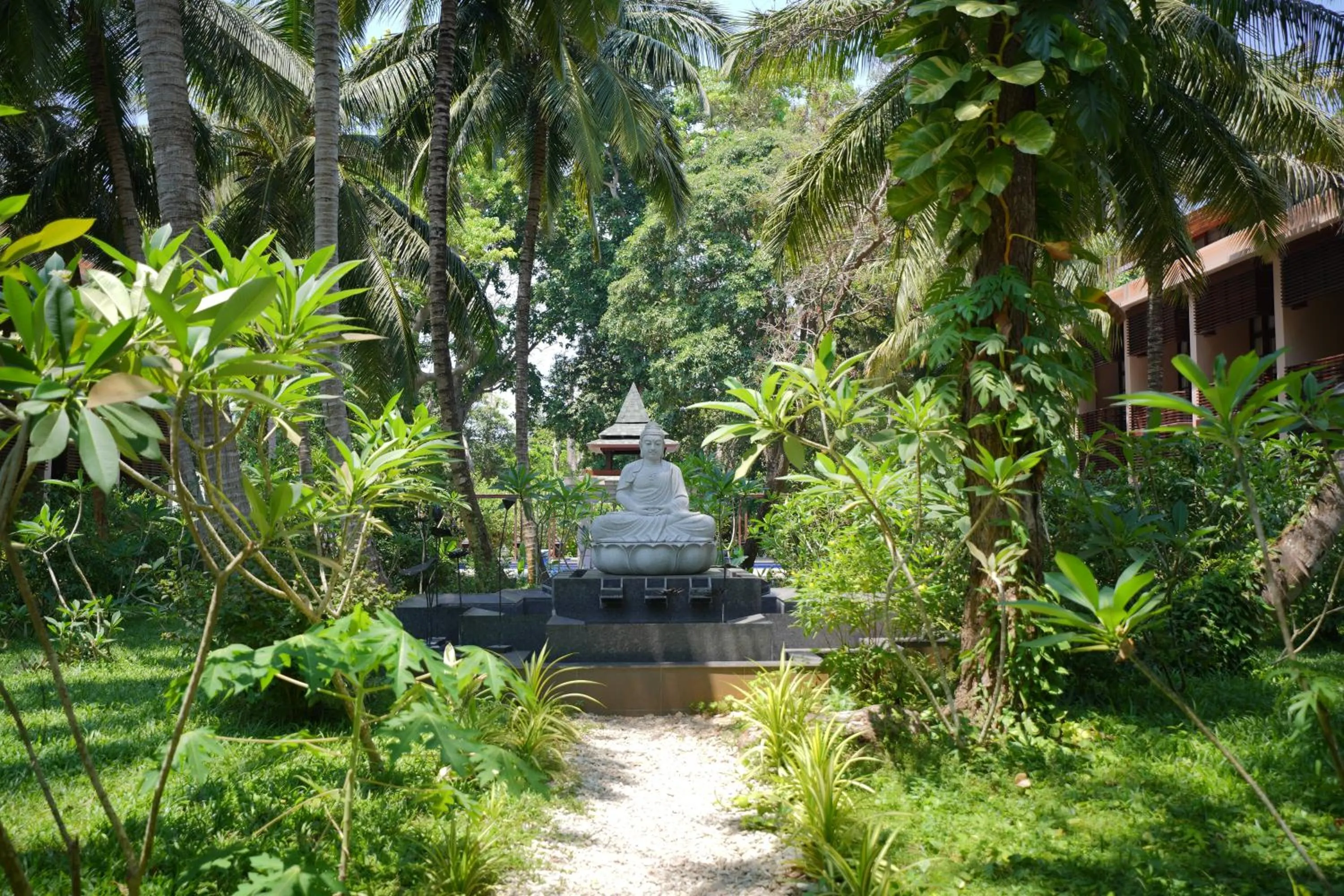 Garden in Sea Shell Samssara