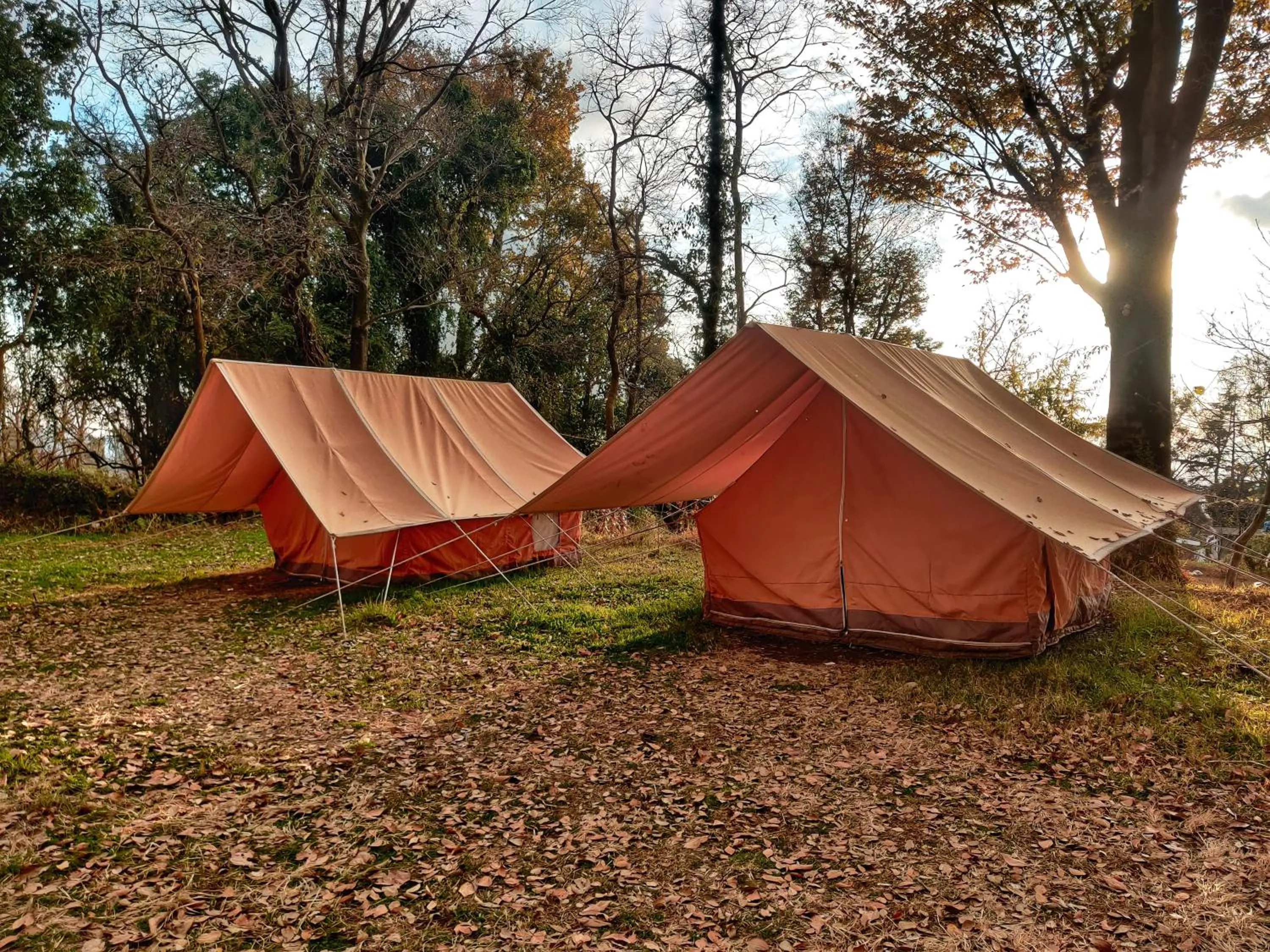 View (from property/room) in Monkey Mud House and Camps, Bir