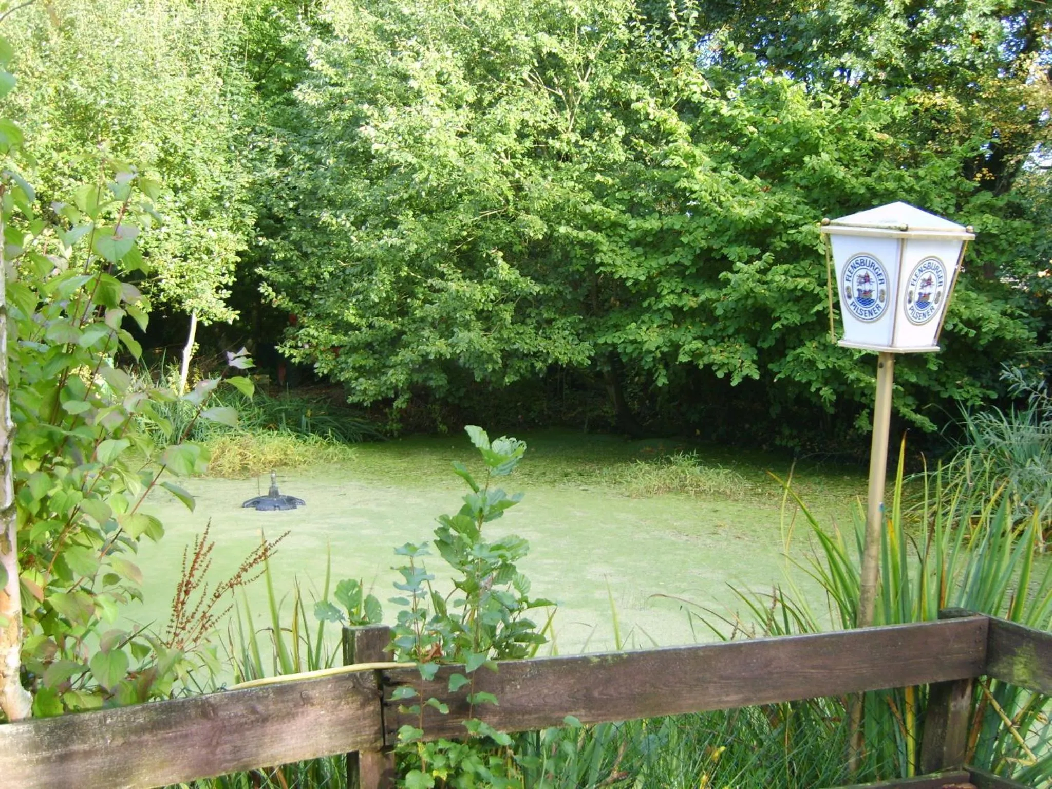 Natural landscape in Hotel-Garni "Hof von Hannover"