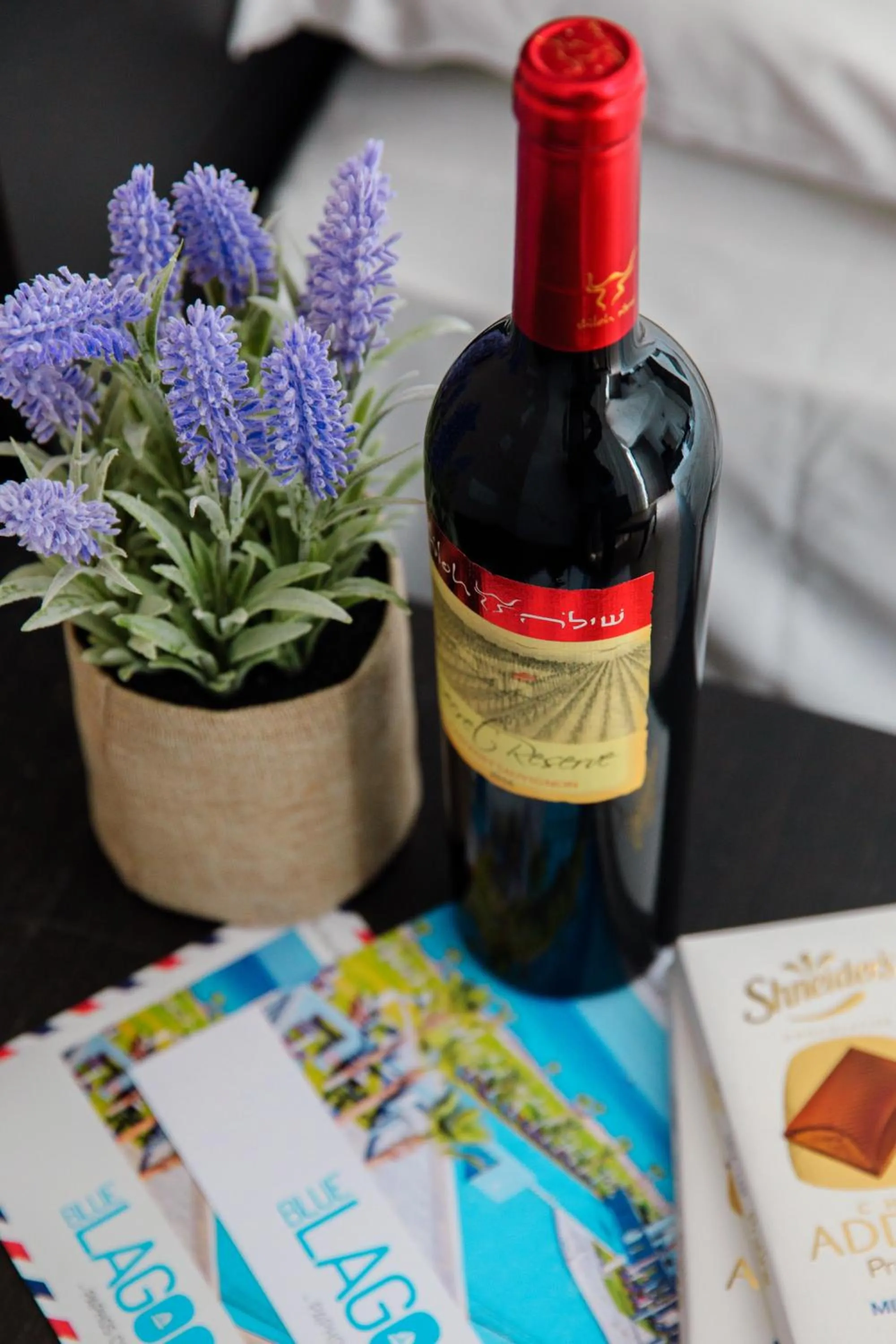 Alcoholic drinks in Blue Lagoon Kosher Hotel (by Capital Coast Resort & Spa)