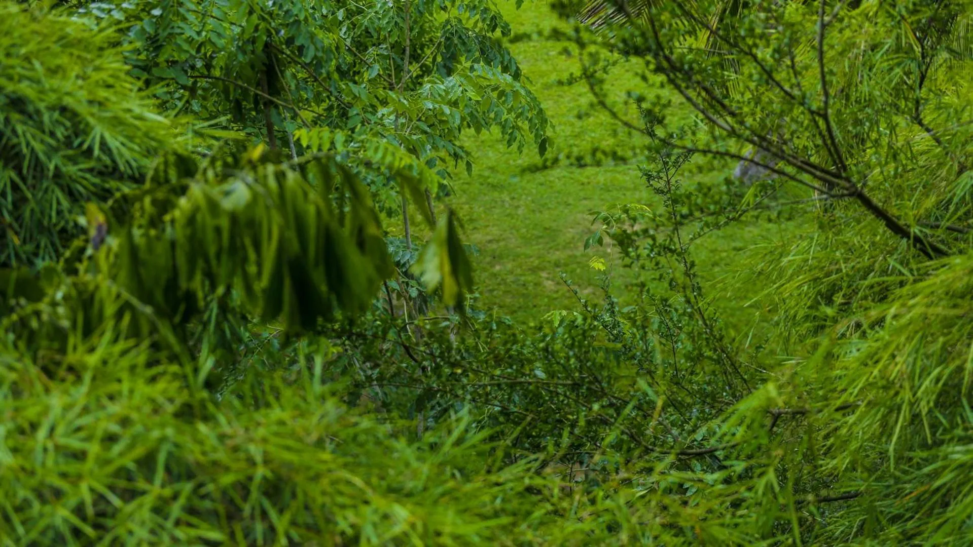 Natural landscape in Silver crown nature resort