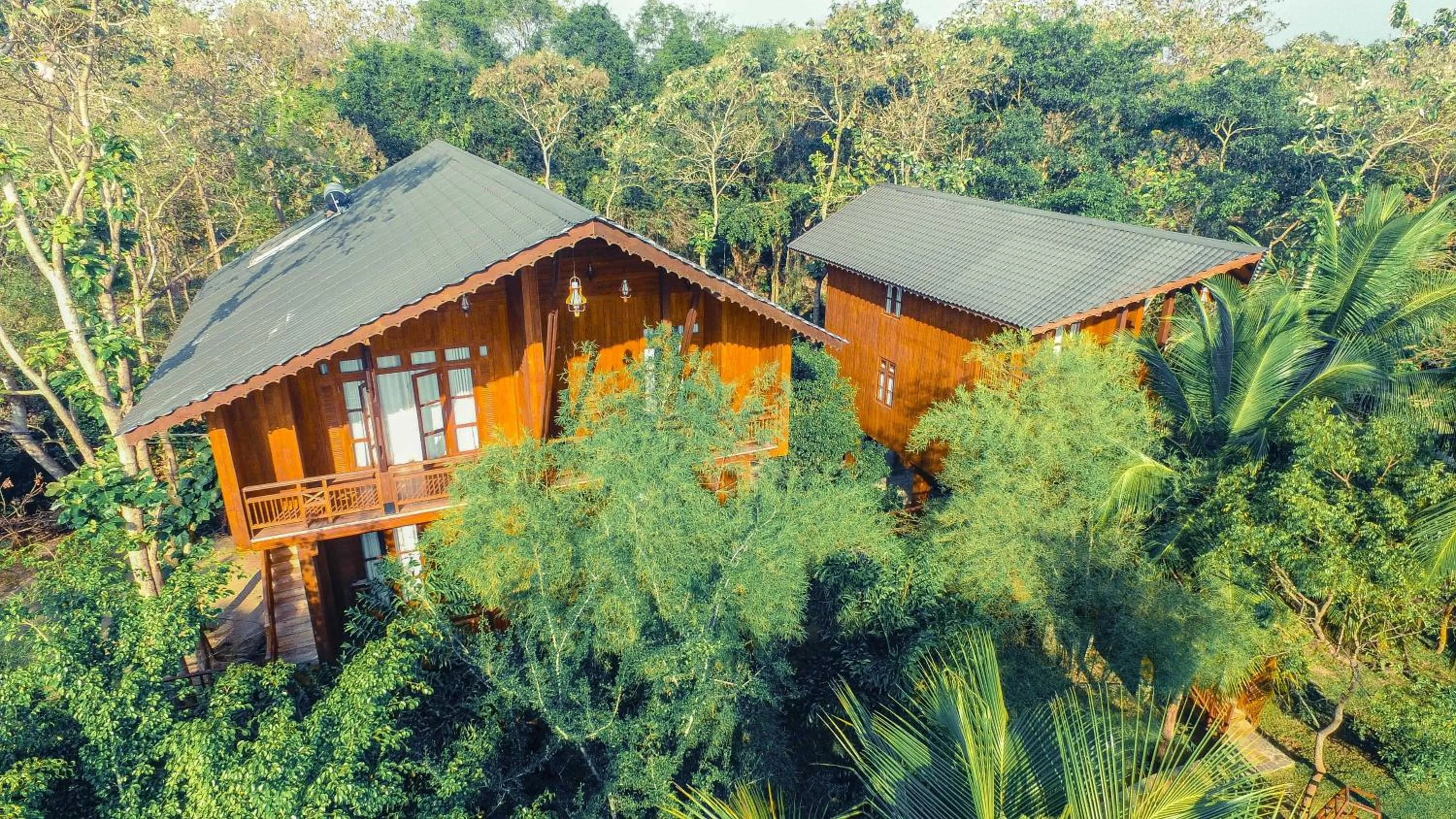 Property building in Silver crown nature resort