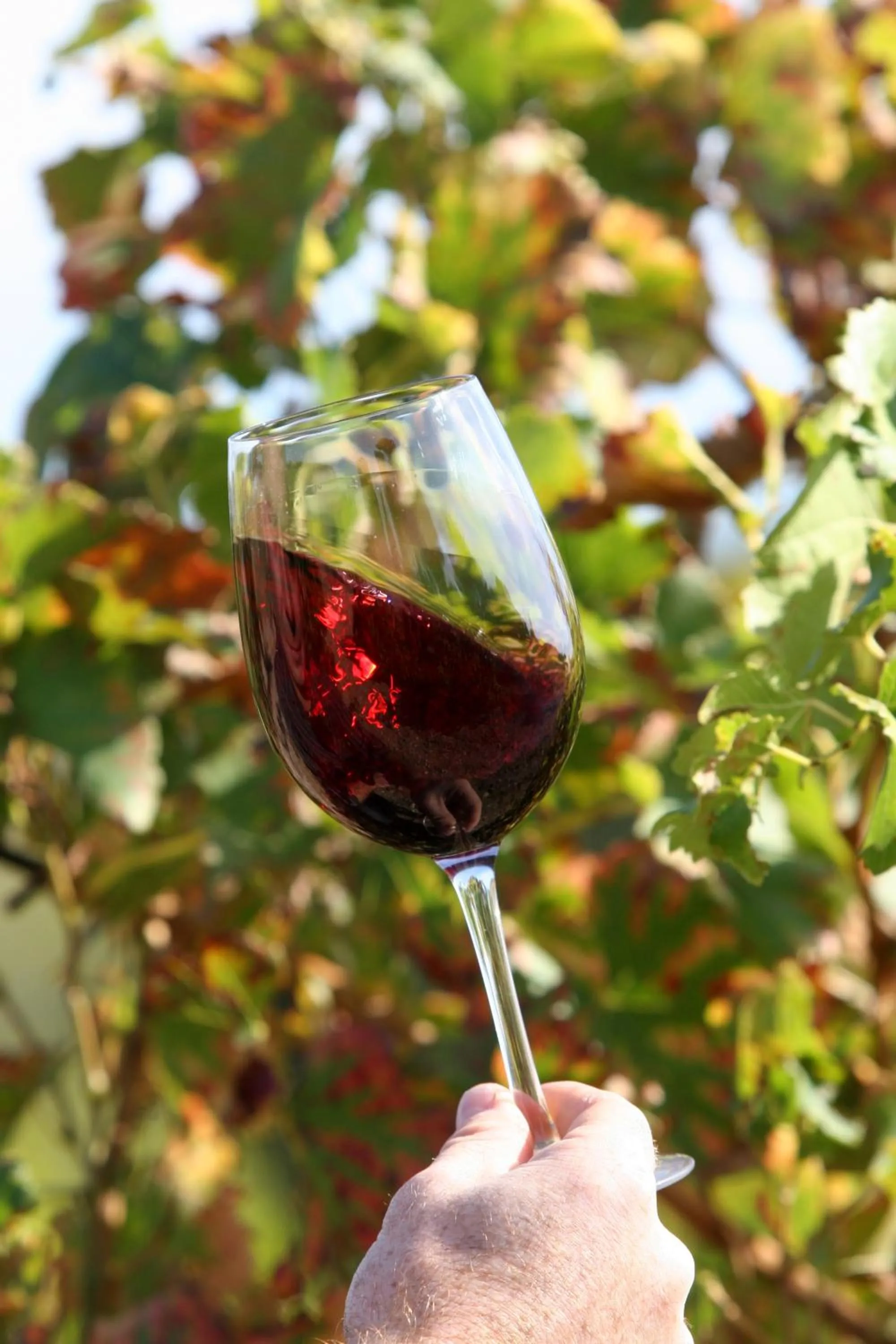 Le Vieux Moulin de Jouques