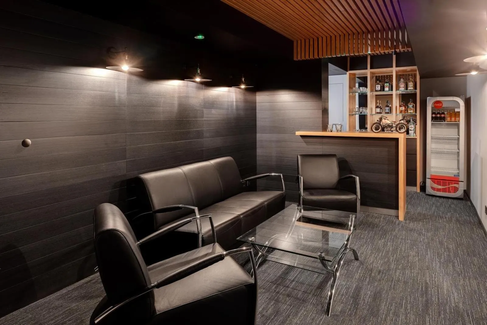 Evening entertainment in Hotel Wojciech