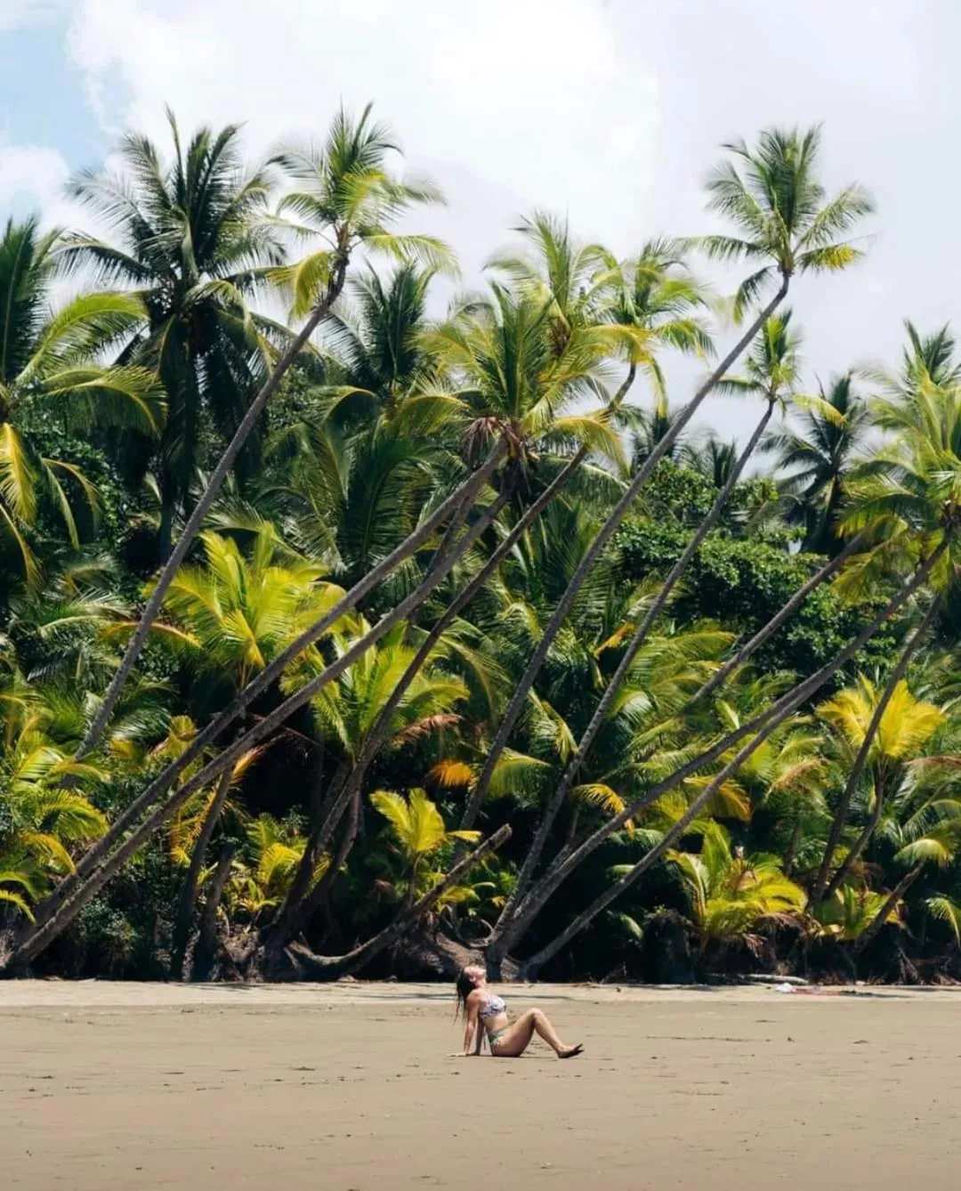 Apartahotel Playa Luna