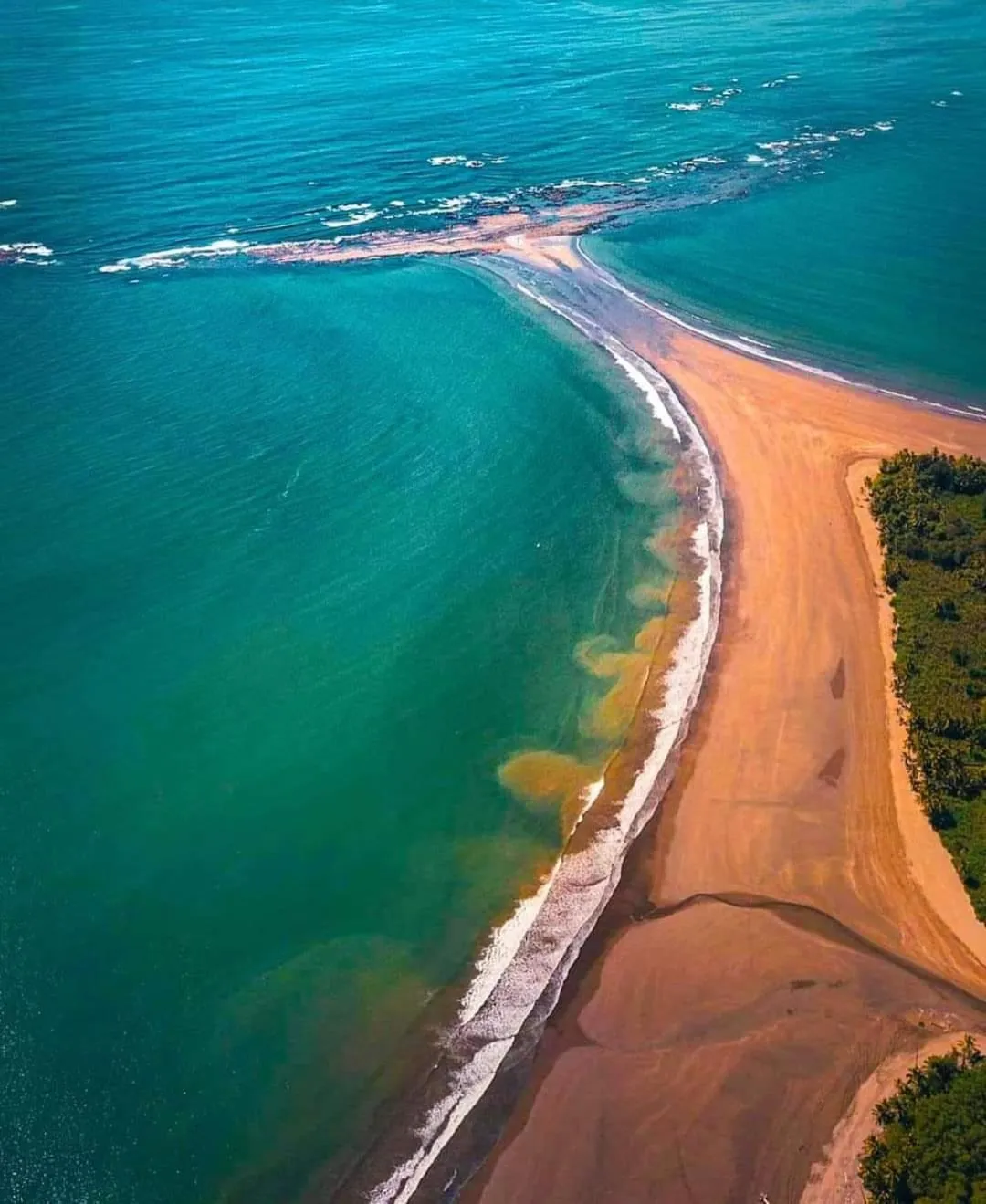 Apartahotel Playa Luna