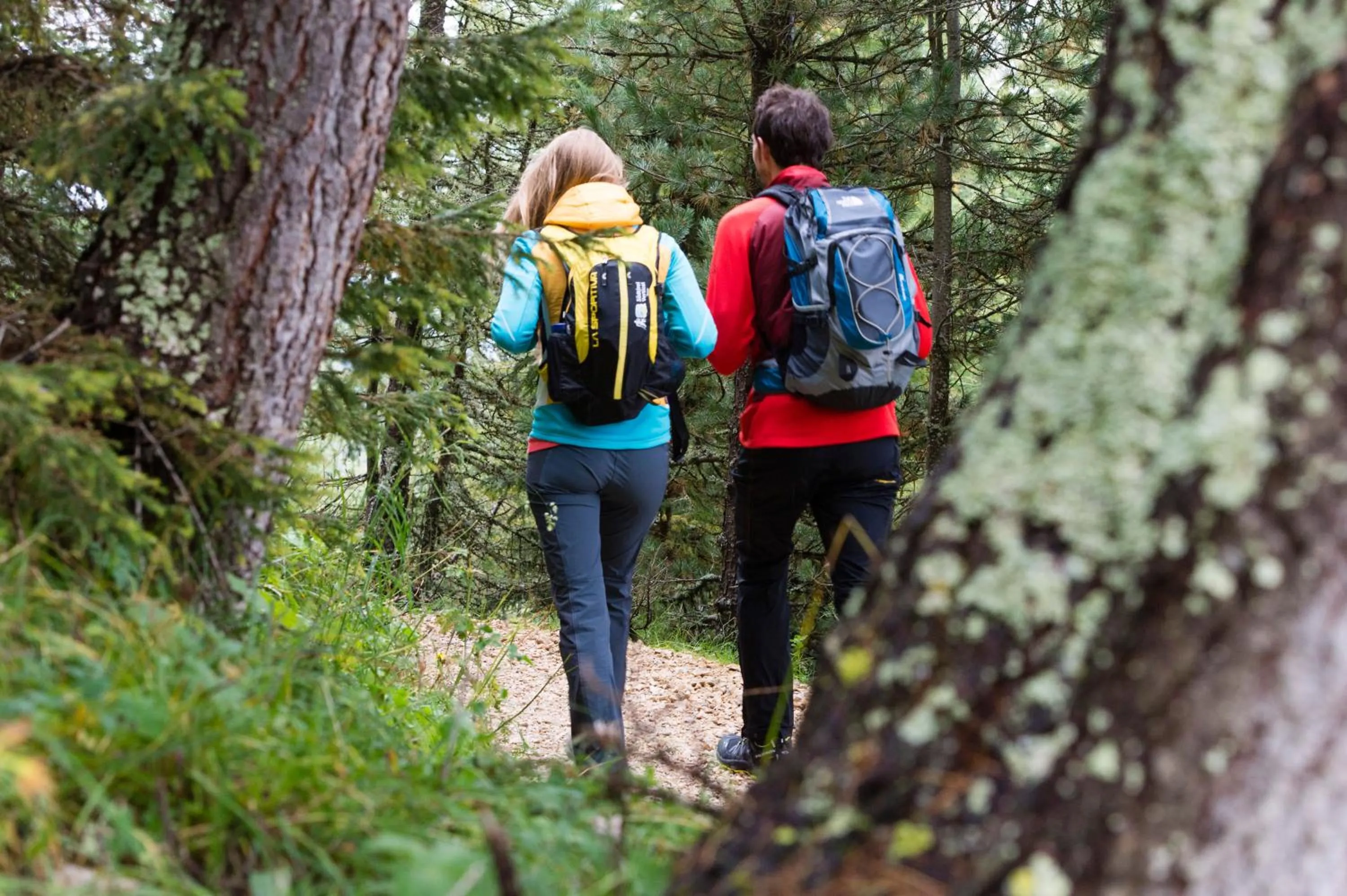 Hiking in Familienhotel Maria