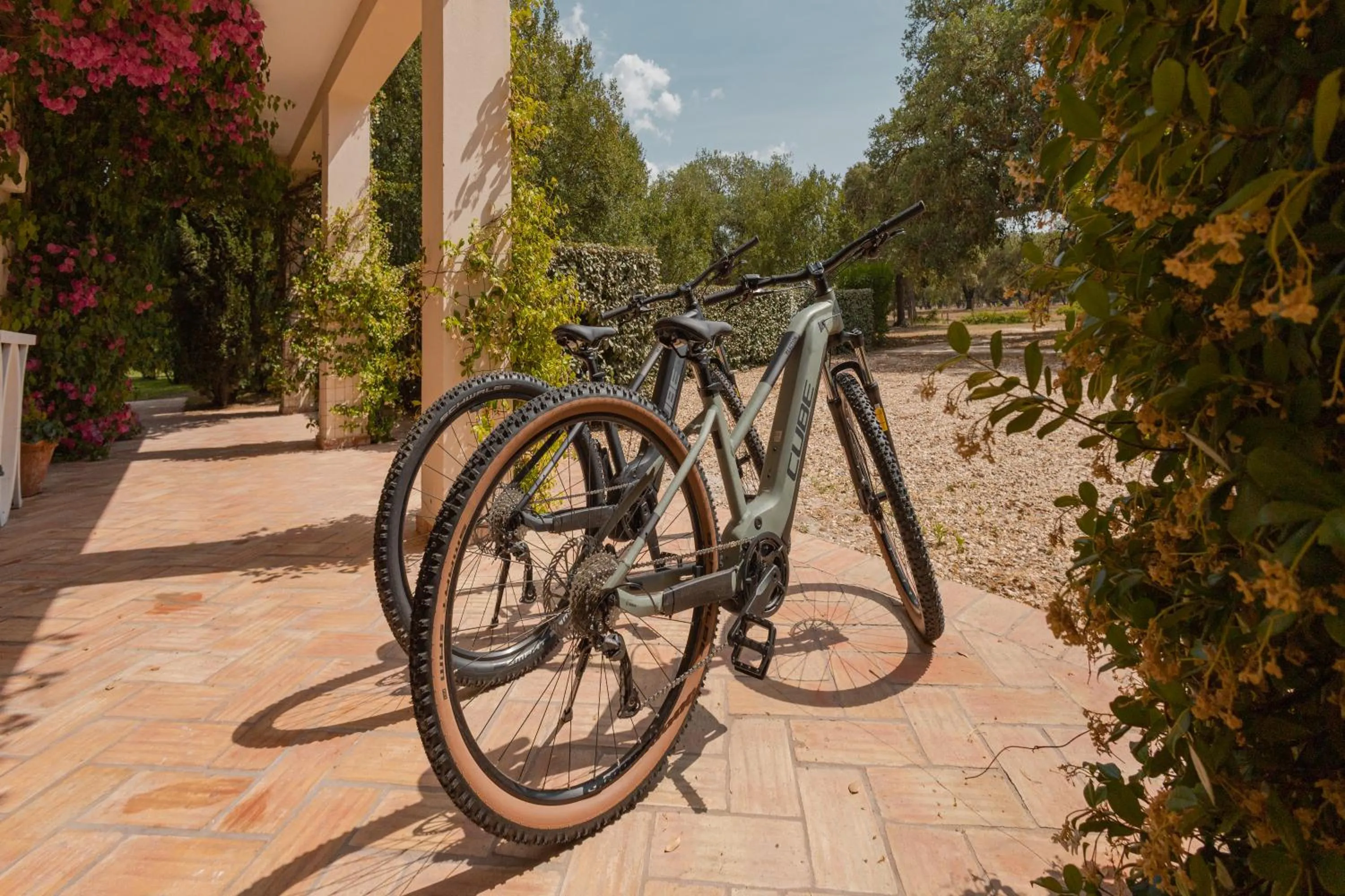 Activities in Casa das Cegonhas