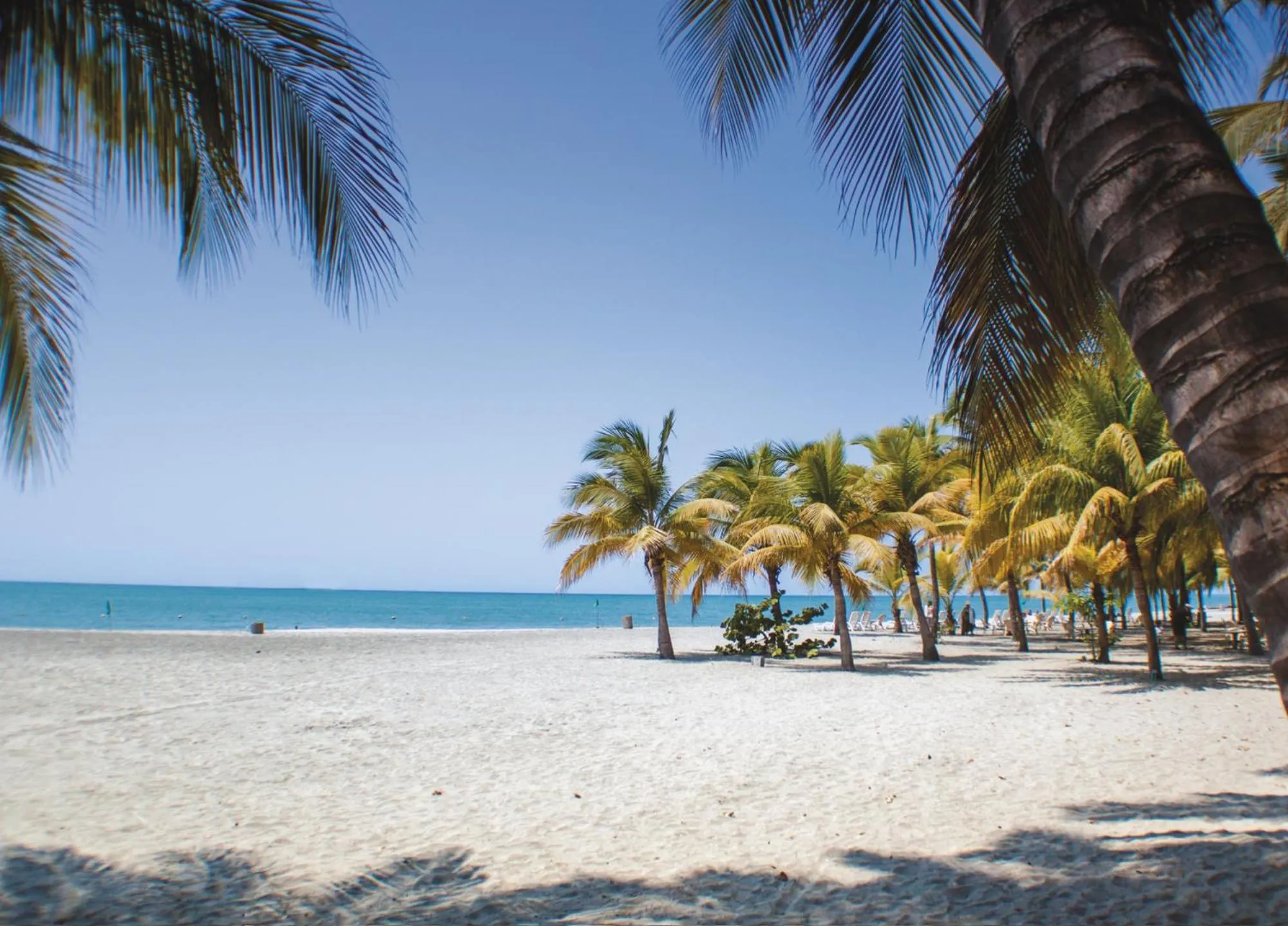 Nearby landmark in Hotel Irotama Lago