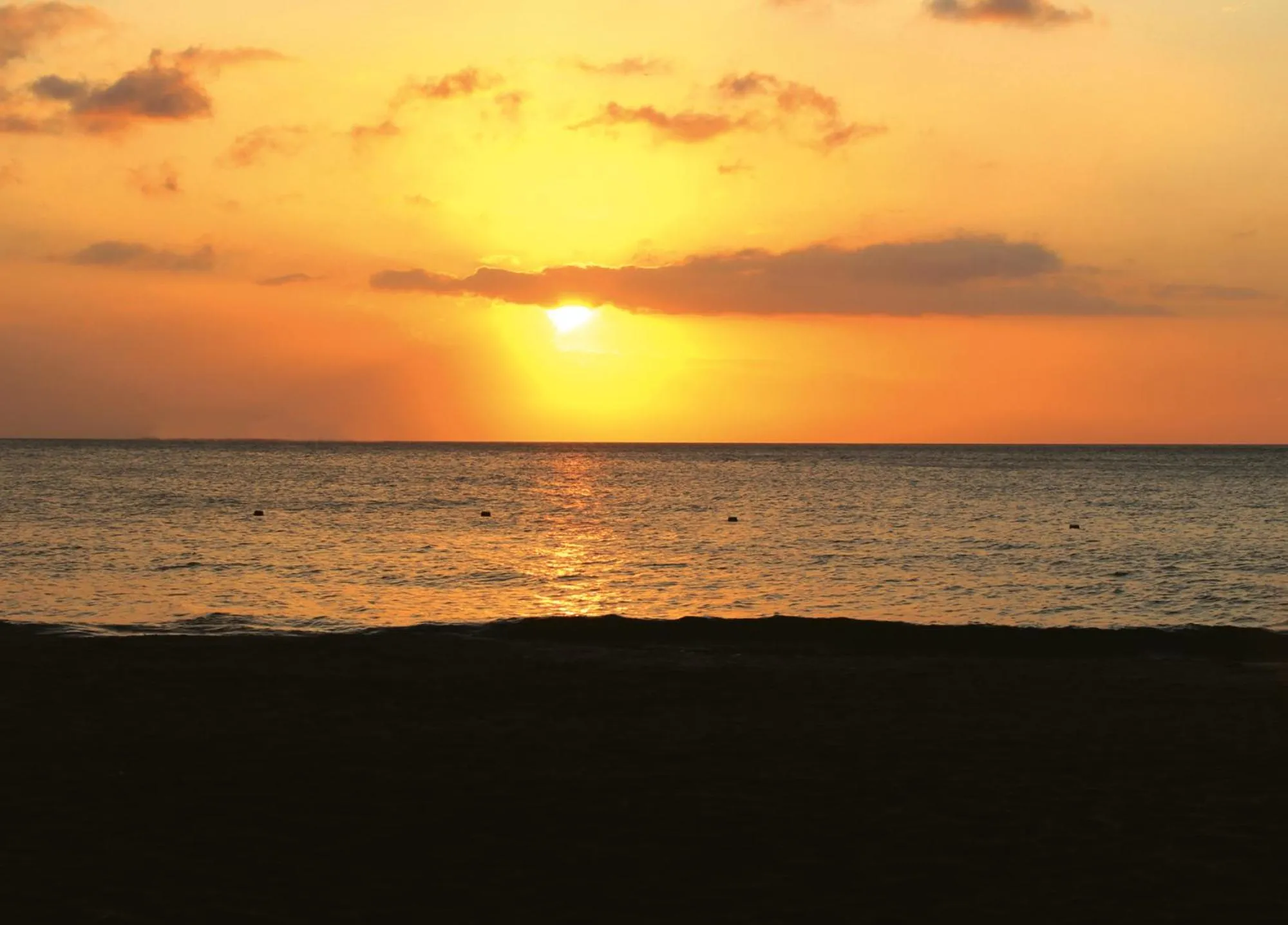 Natural landscape in Hotel Irotama Lago