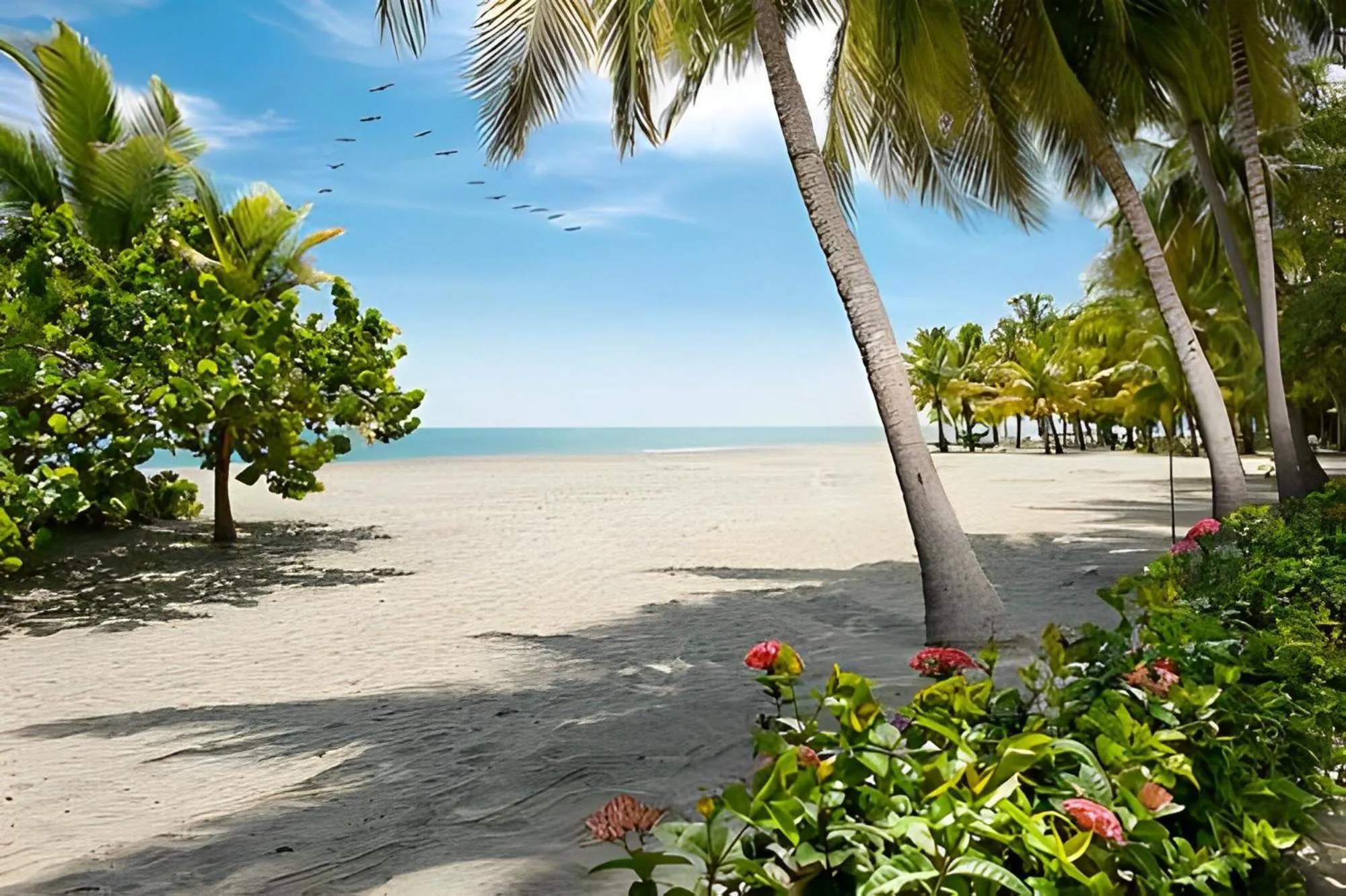 Nearby landmark in Hotel Irotama Lago