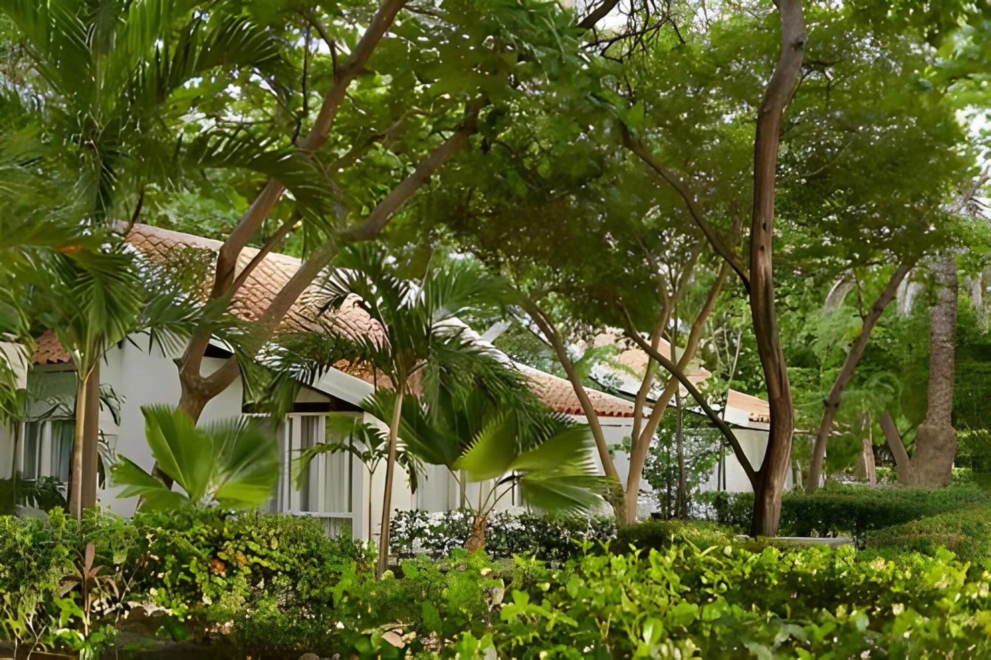 Standard Bungalow - single occupancy in Hotel Irotama Lago