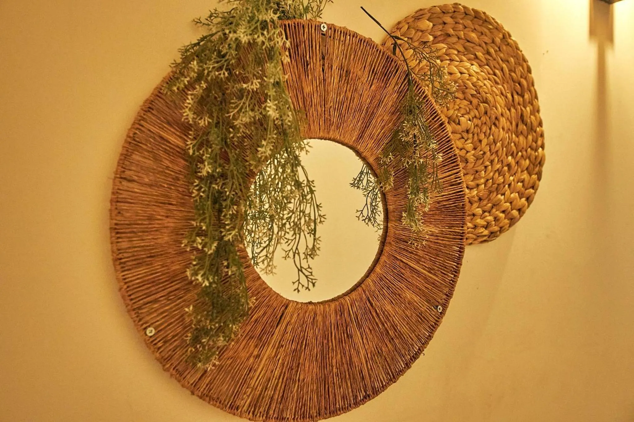 Jungle Jaffa Hostel Age 18 to 45