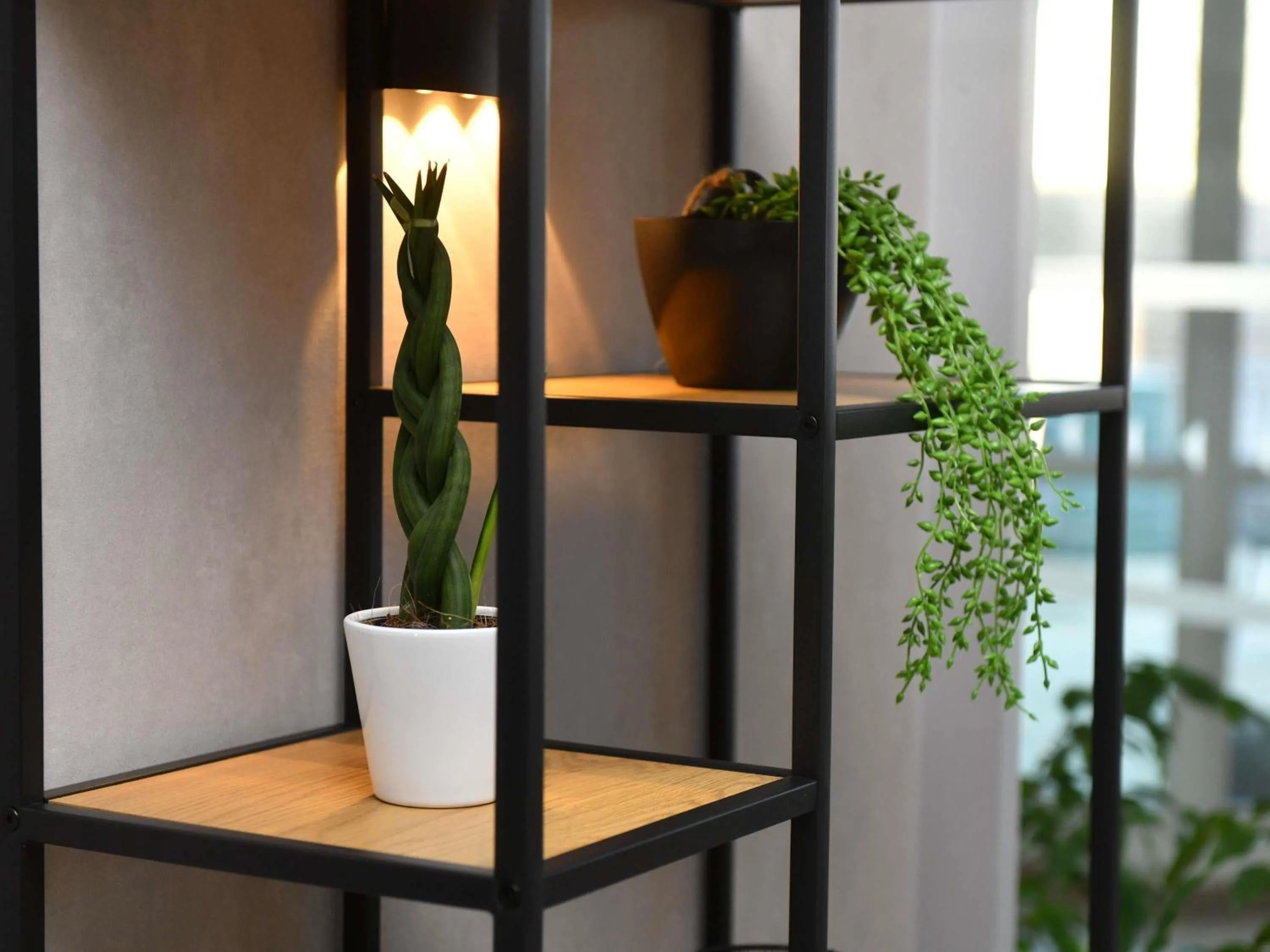 Property building in ibis Chateauroux