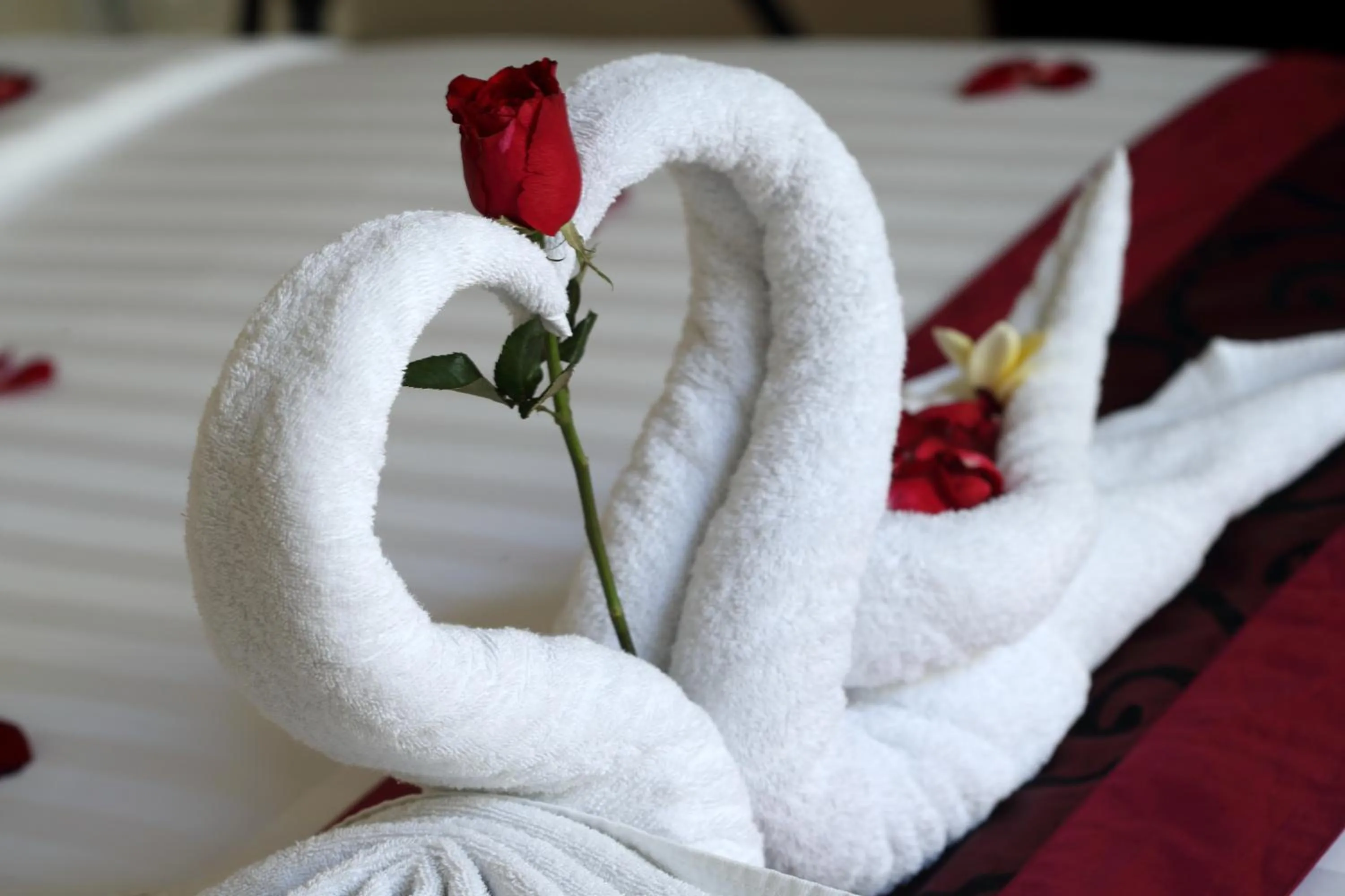 Other in Daluman Villas