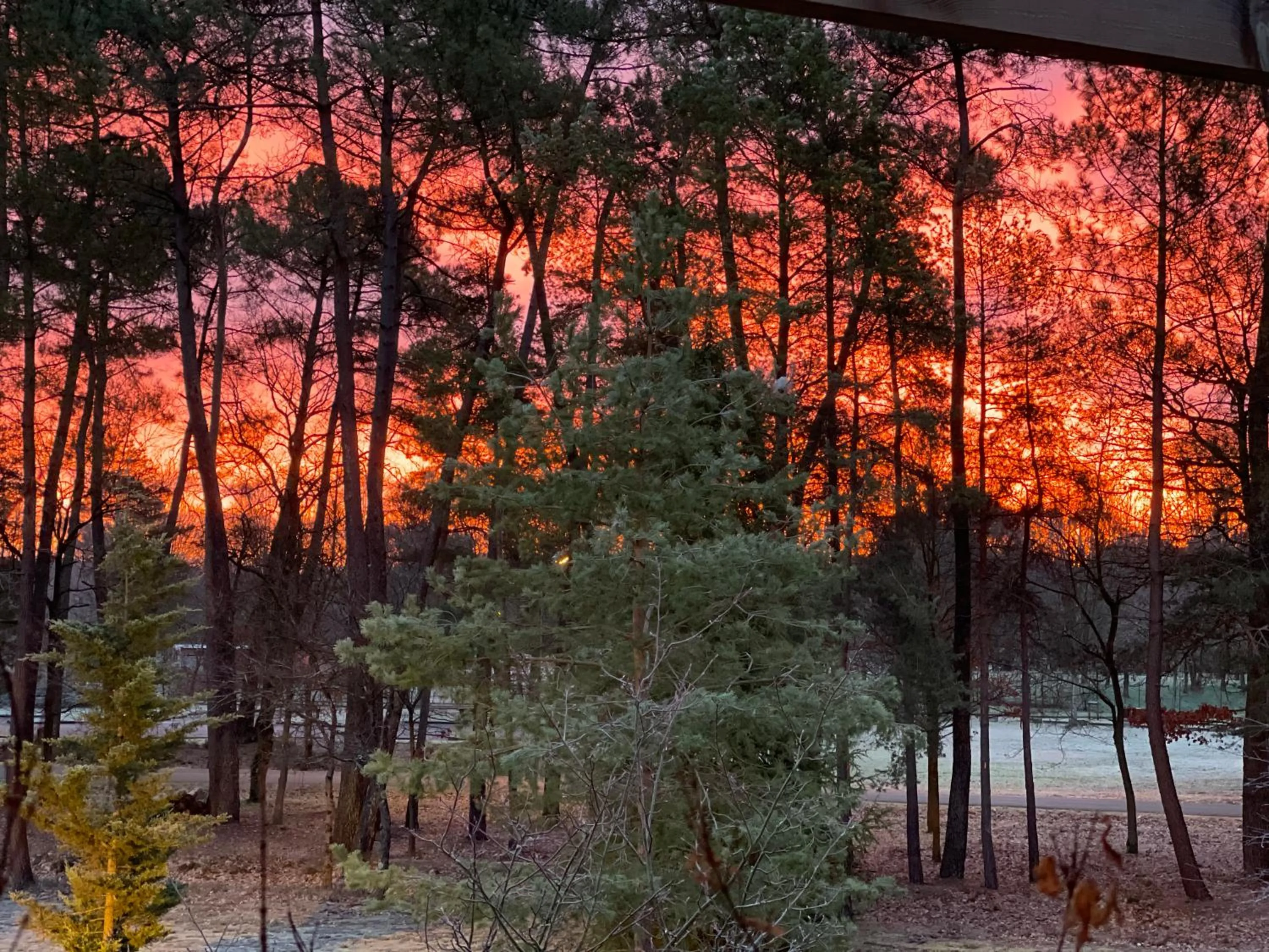 Natural landscape in Logis des Sittelles