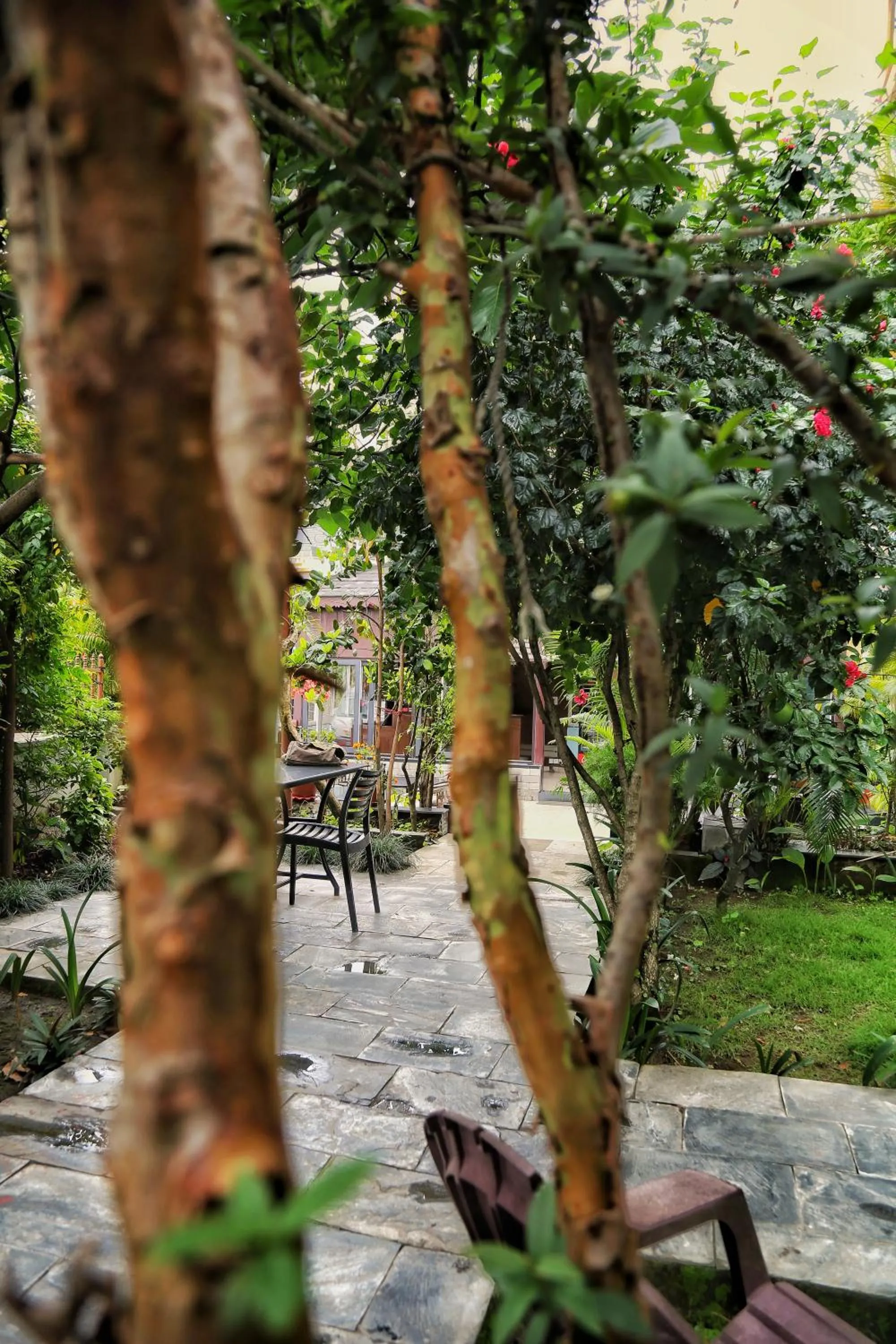 Garden in Hotel Lake Star