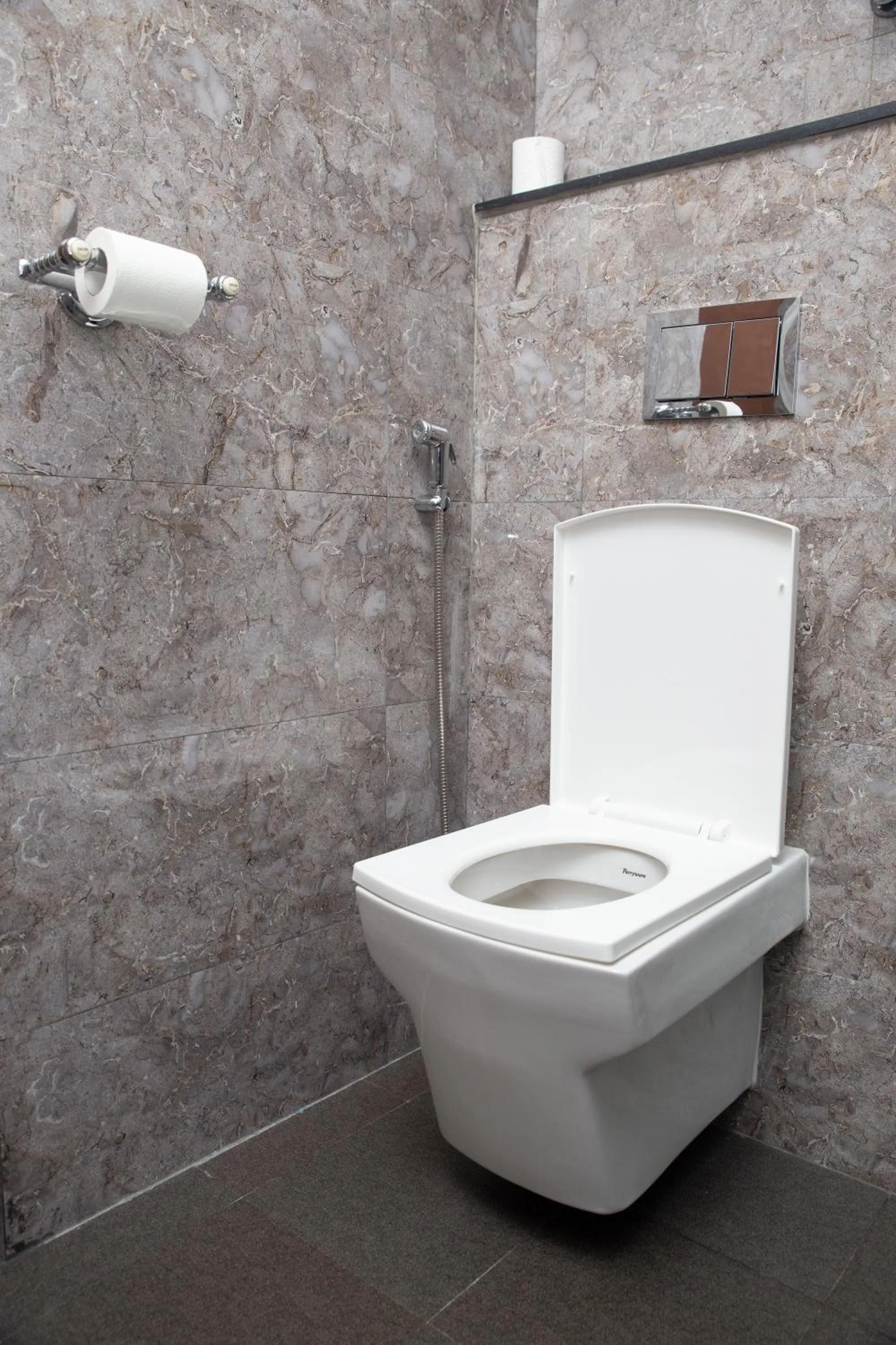 Toilet in Hotel Lake Star