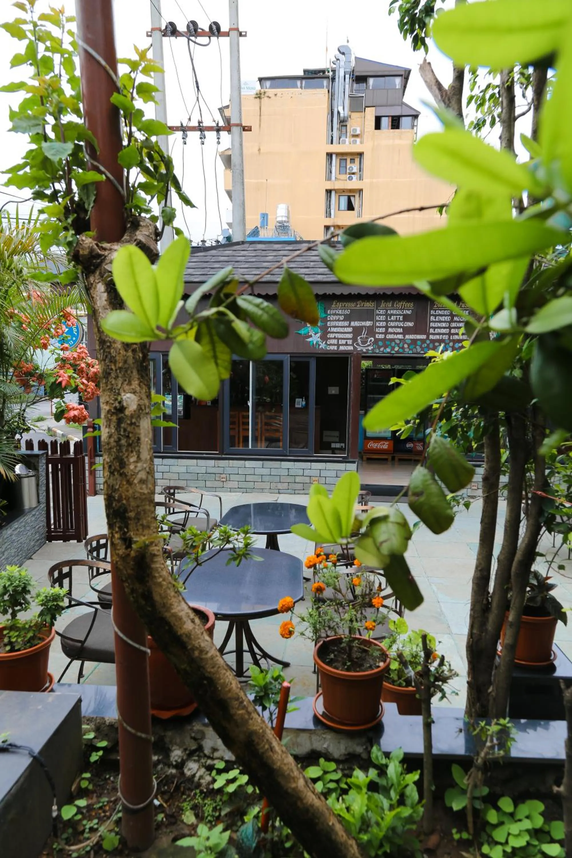 Day in Hotel Lake Star