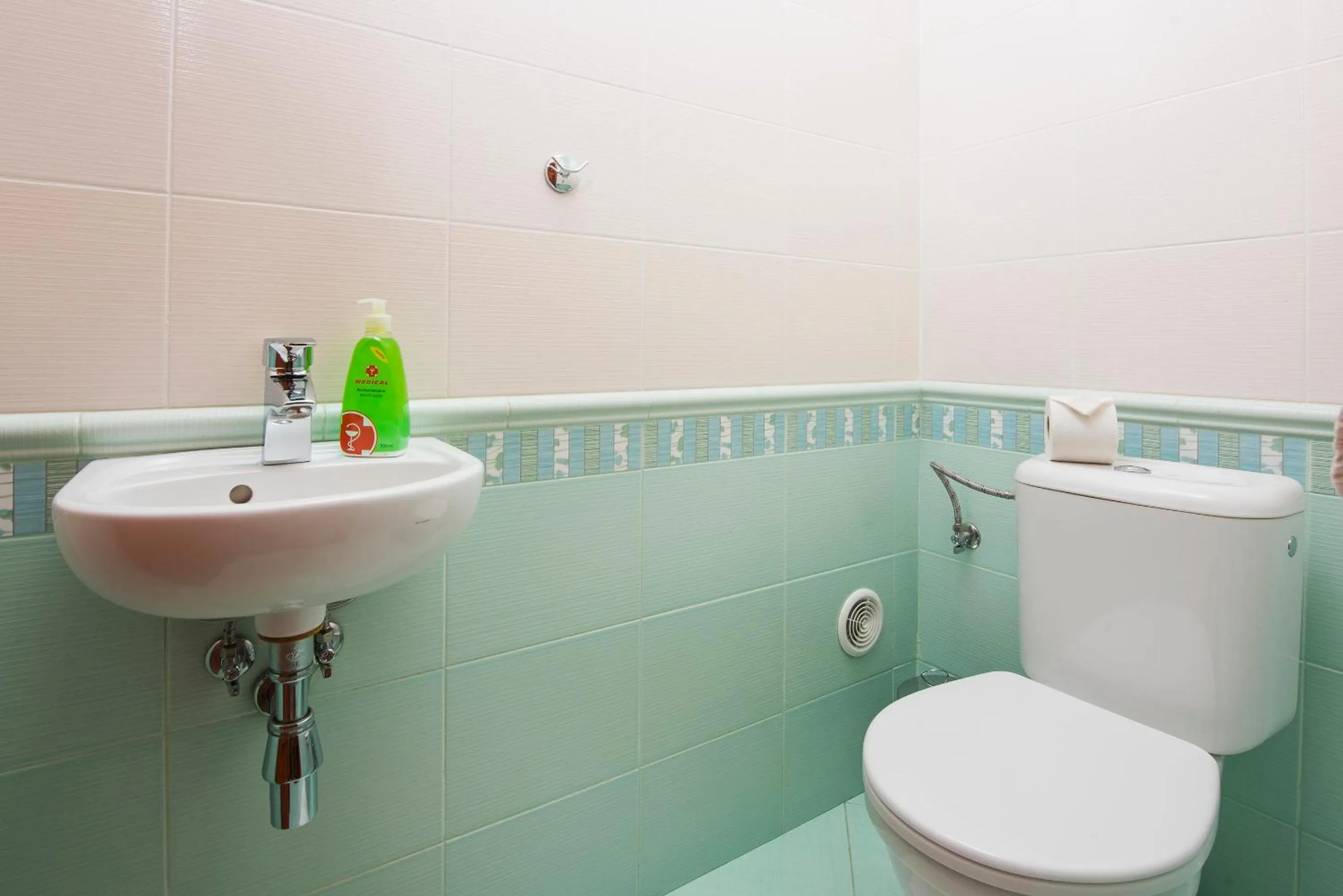 Toilet in Hotel Polovnik