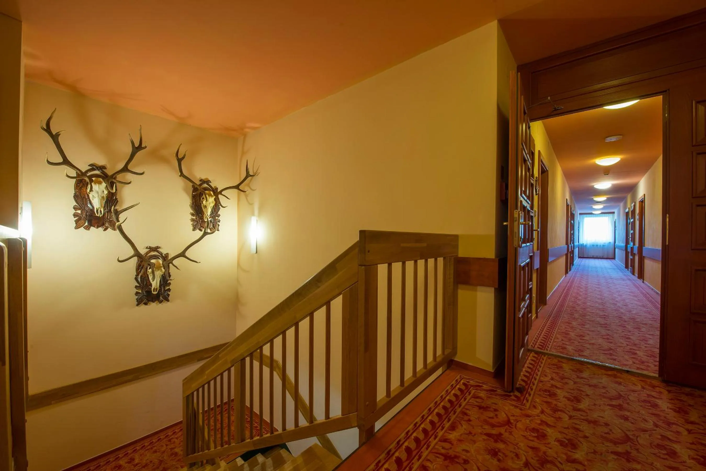 Other in Hotel Polovnik