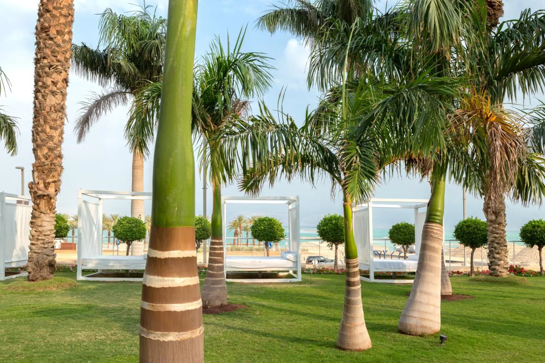 Garden in Nevo by Isrotel Collection