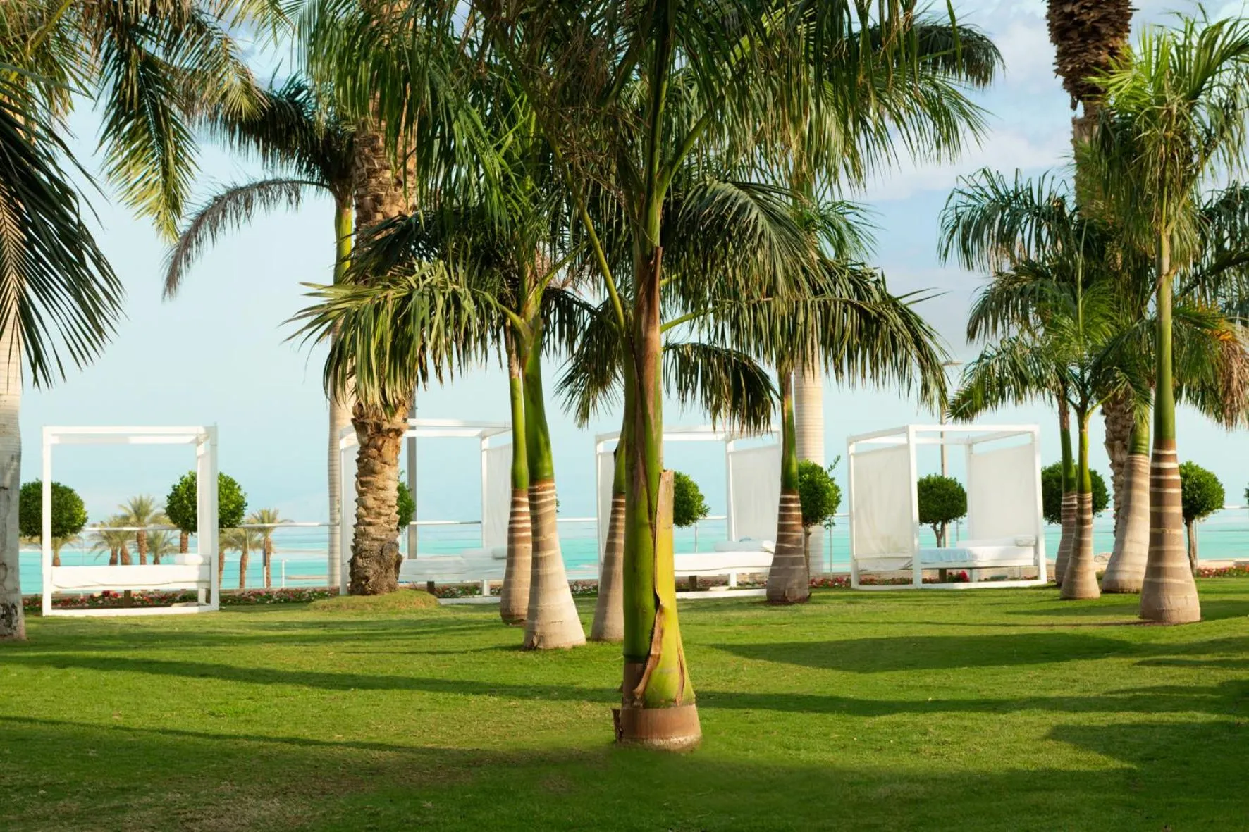 Garden in Nevo by Isrotel Collection