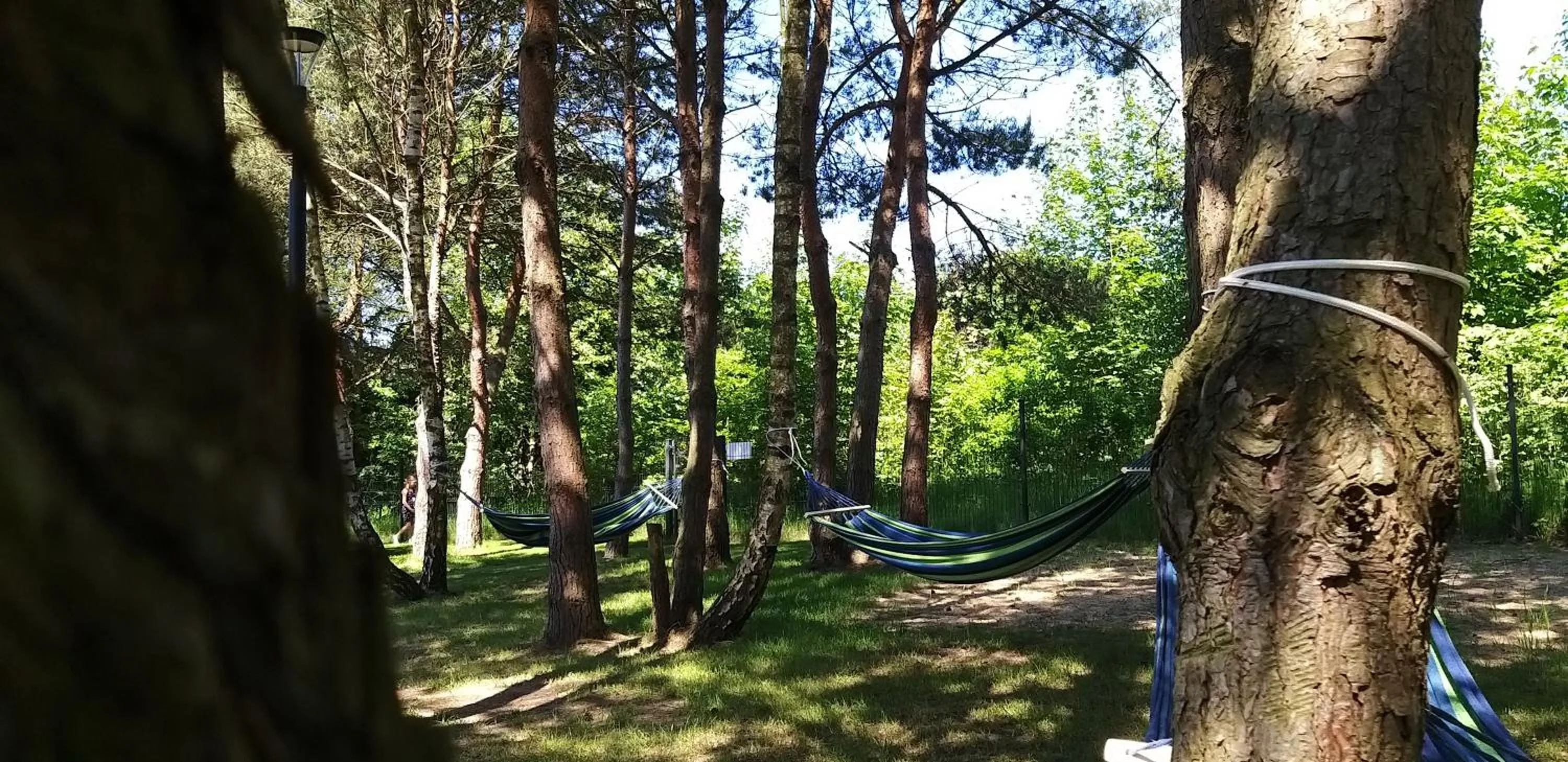 Day in SOSNOWY KLIFF