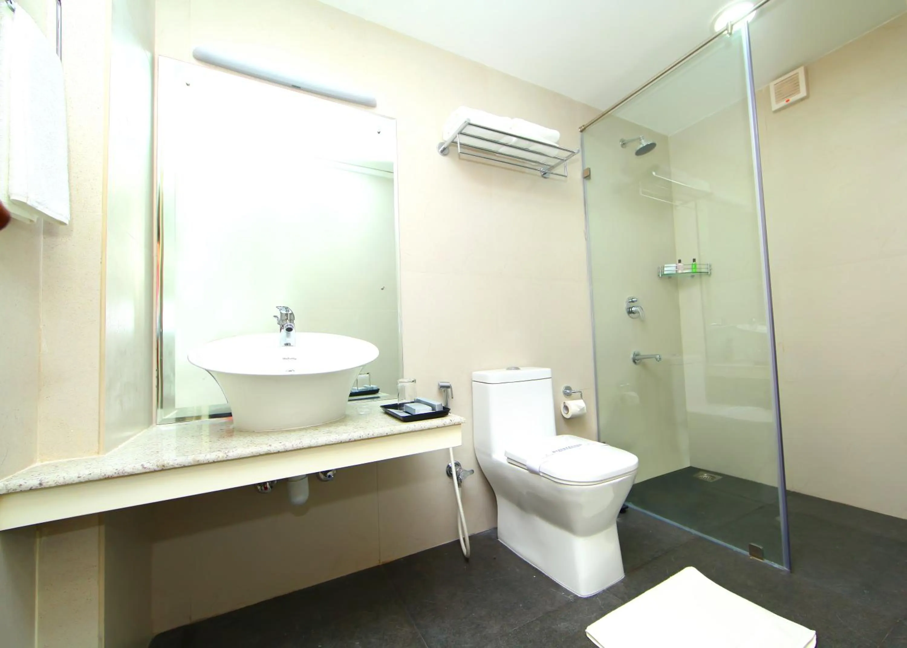 Toilet in Millennium Continental