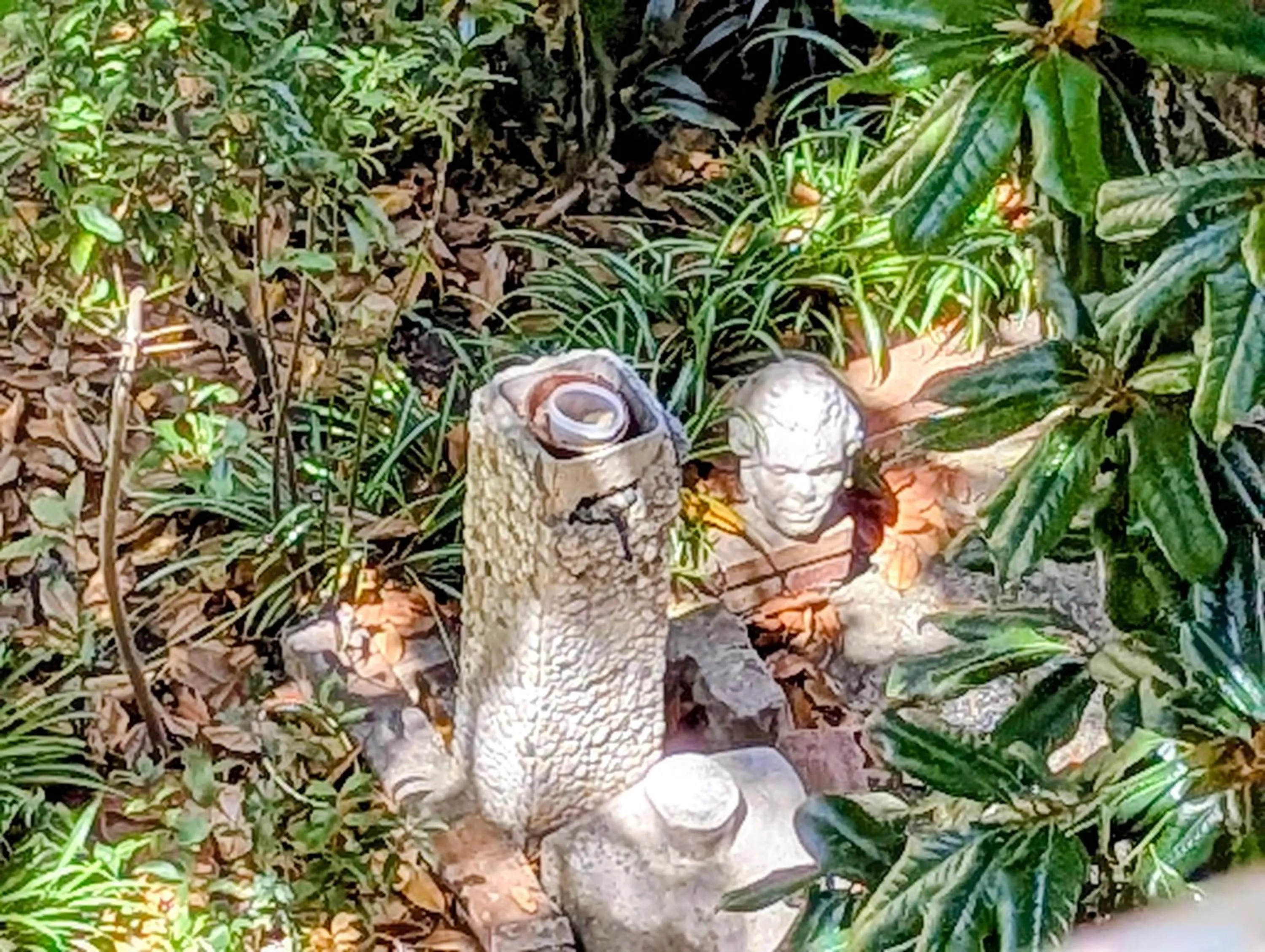 Natural landscape in La Locanda Dell'Arte-Museo