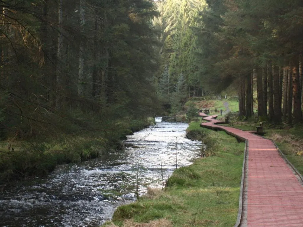 Activities in The Old School House Bed and Breakfast