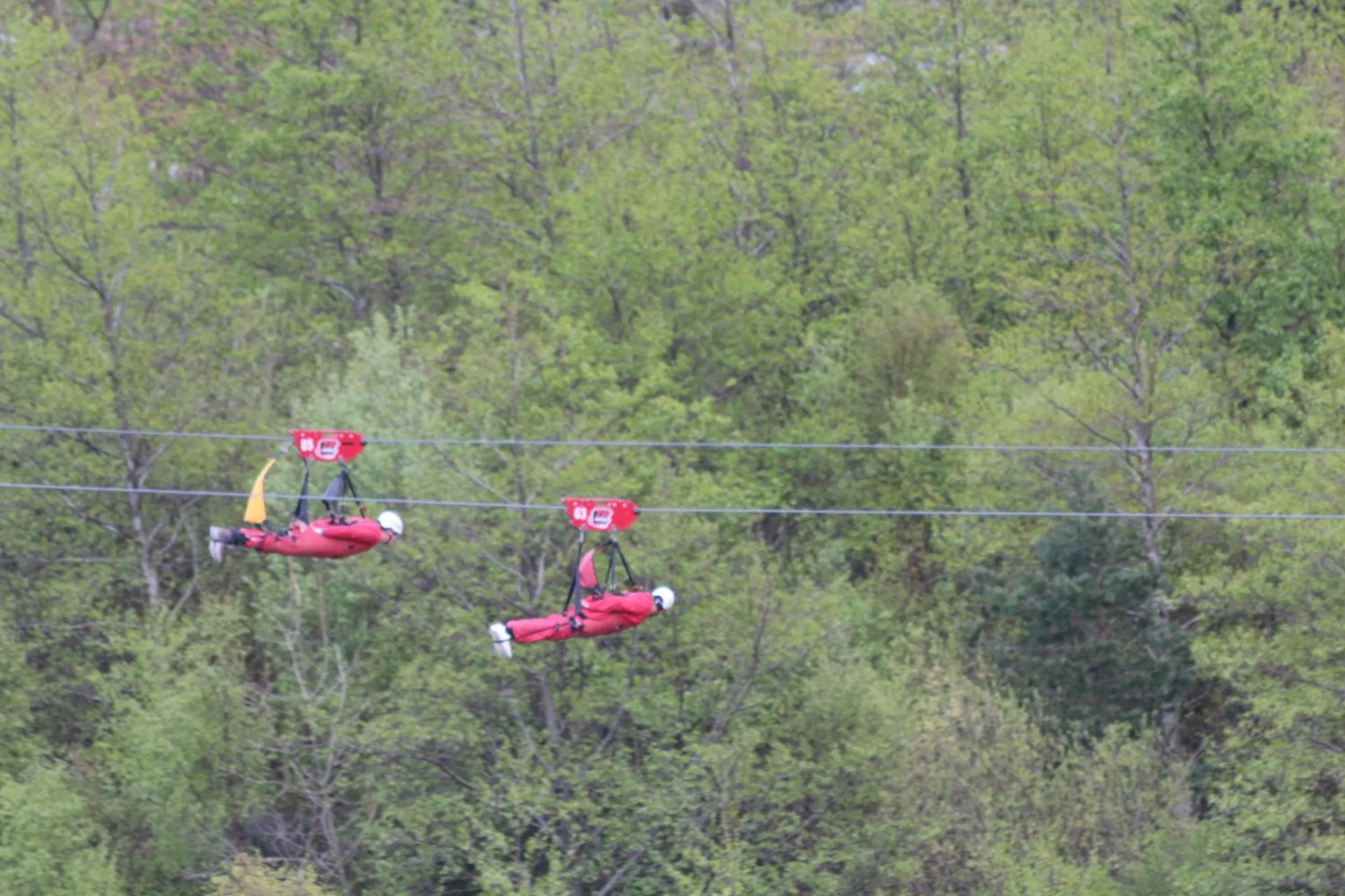 Activities in The Old School House Bed and Breakfast