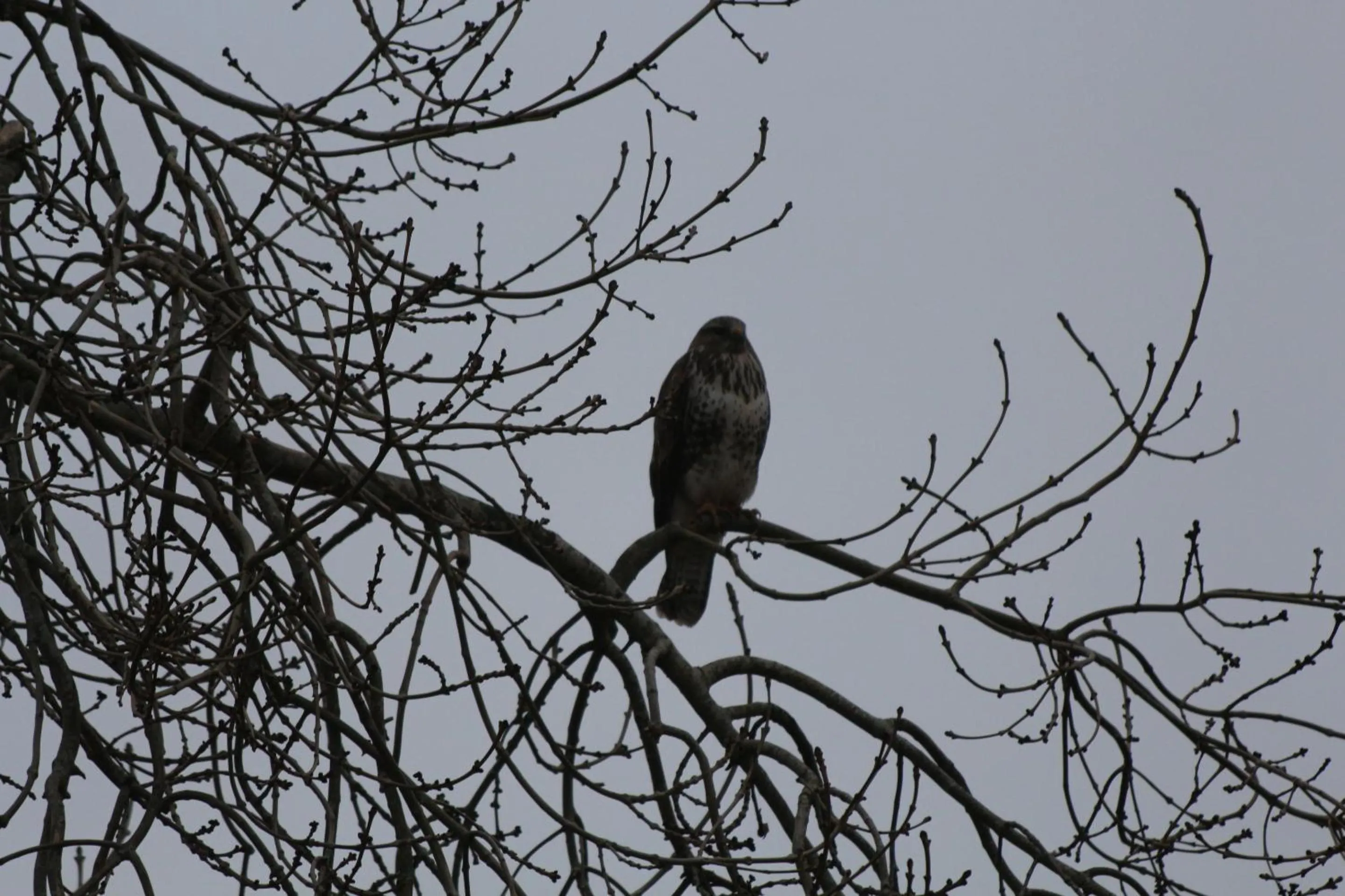 Garden in The Old School House Bed and Breakfast