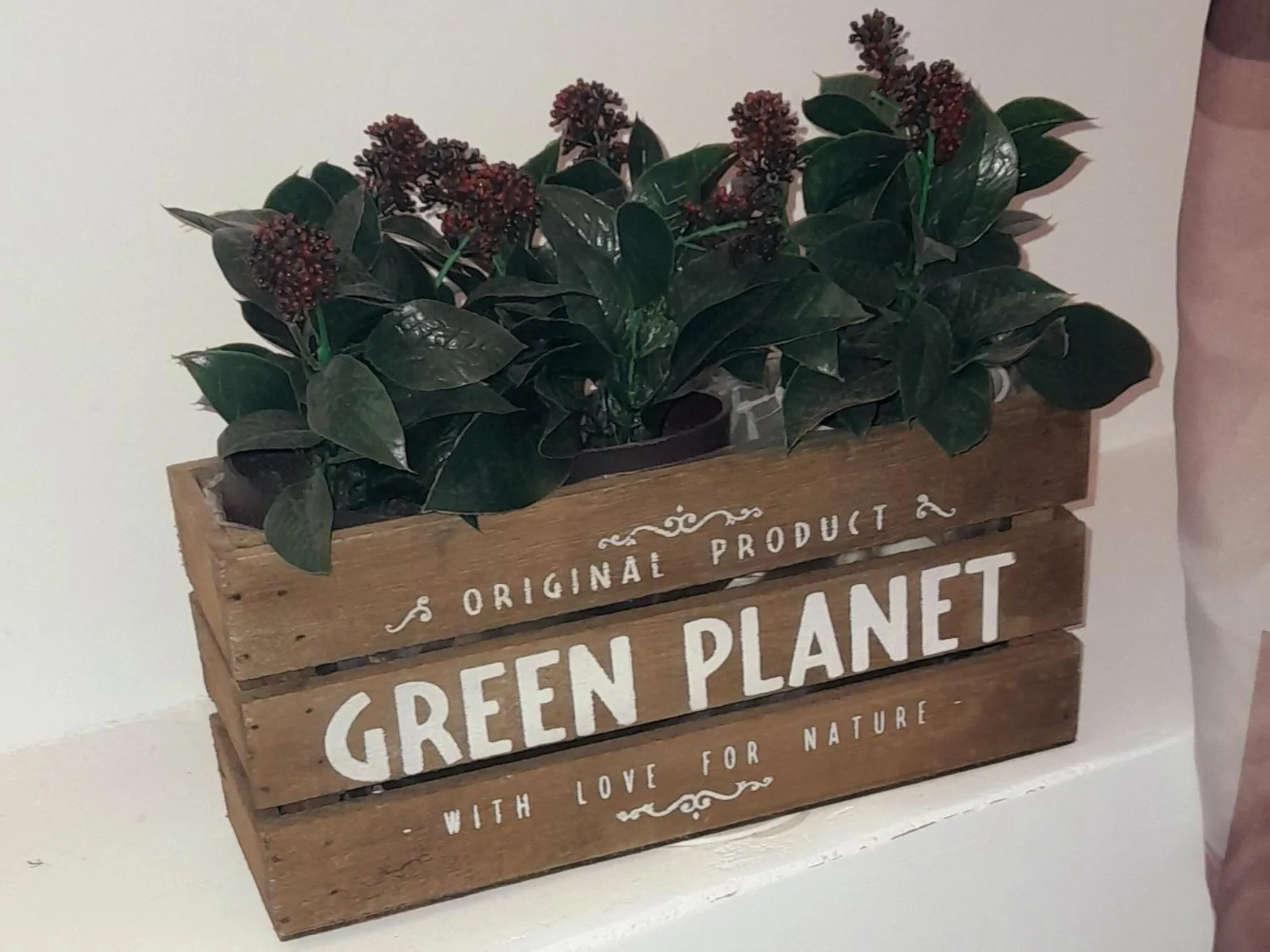 Decorative detail in B&B La Fenice