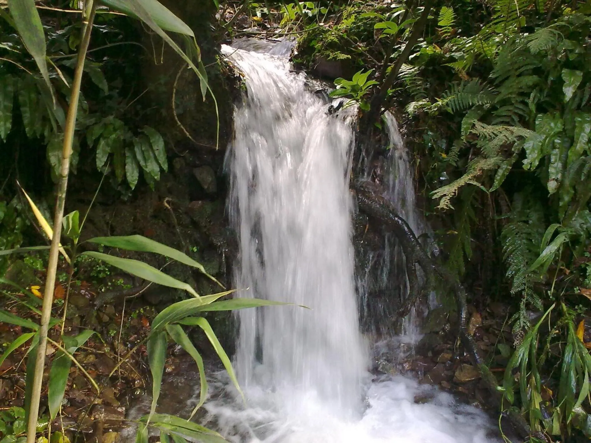 Area and facilities in The Hunters Inn