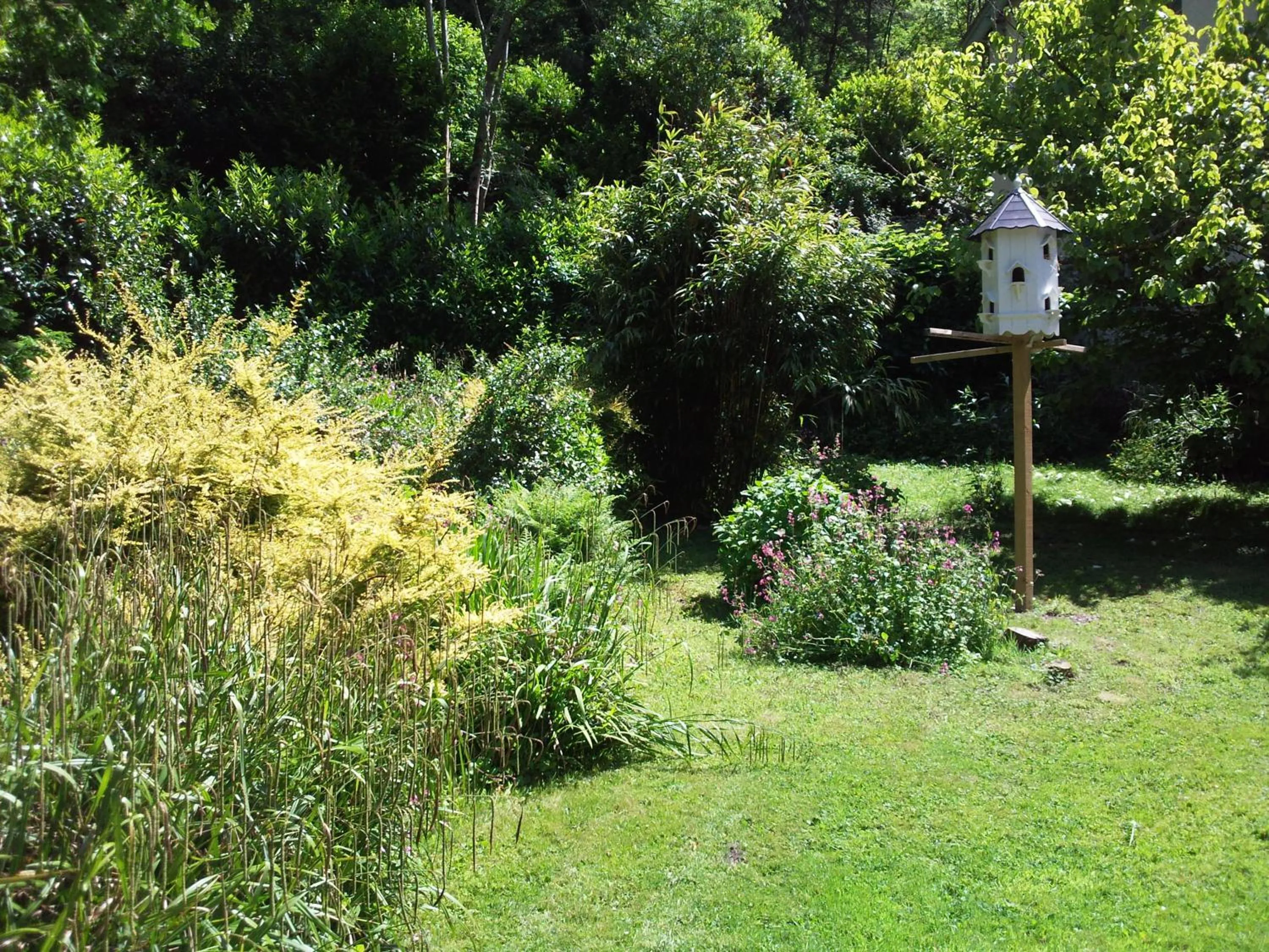 Garden in The Hunters Inn