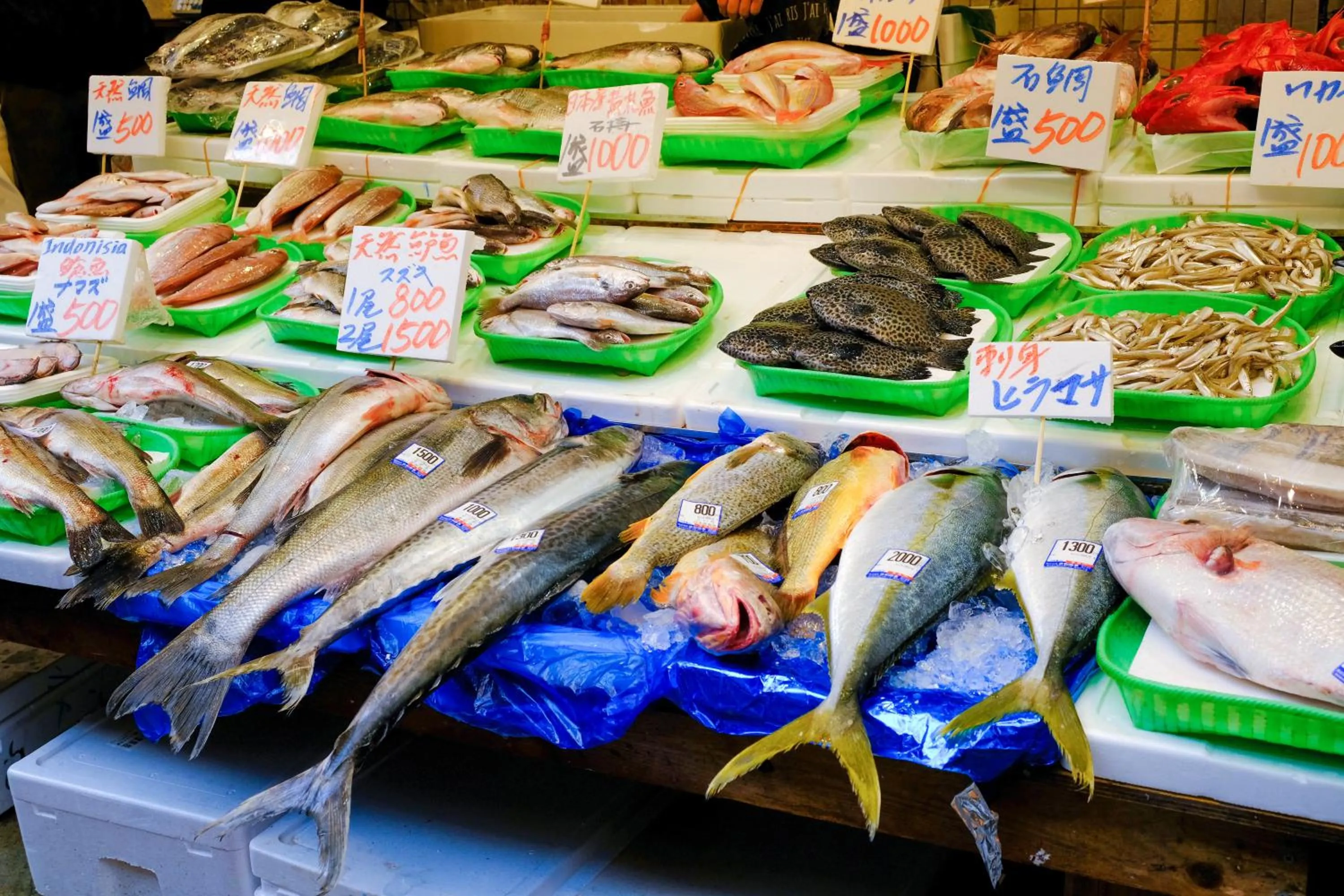 Neighbourhood in bnb+ Ueno Okachimachi