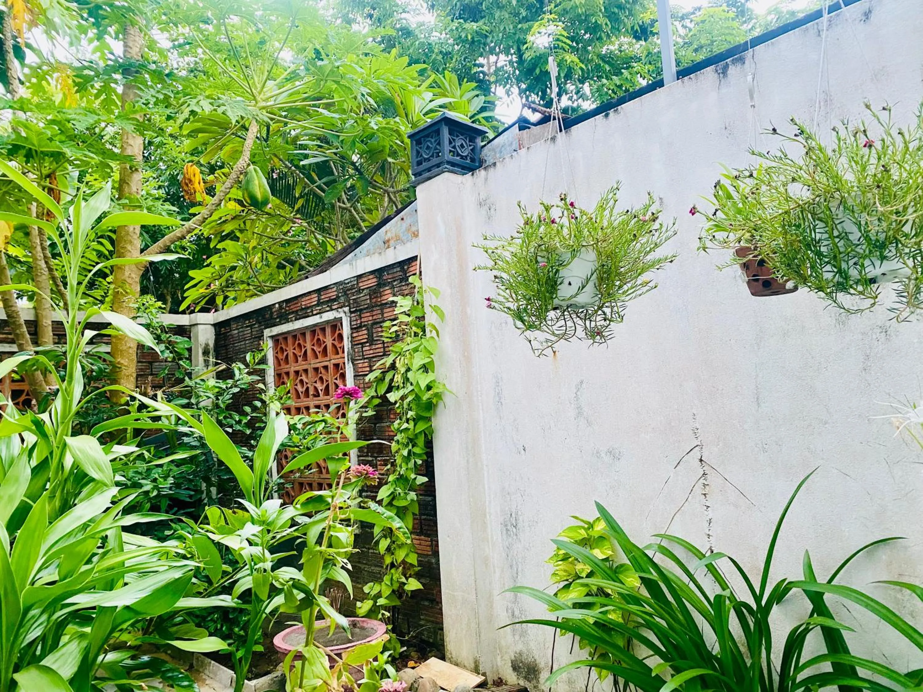 View (from property/room) in Rice River Villa - Hoi An