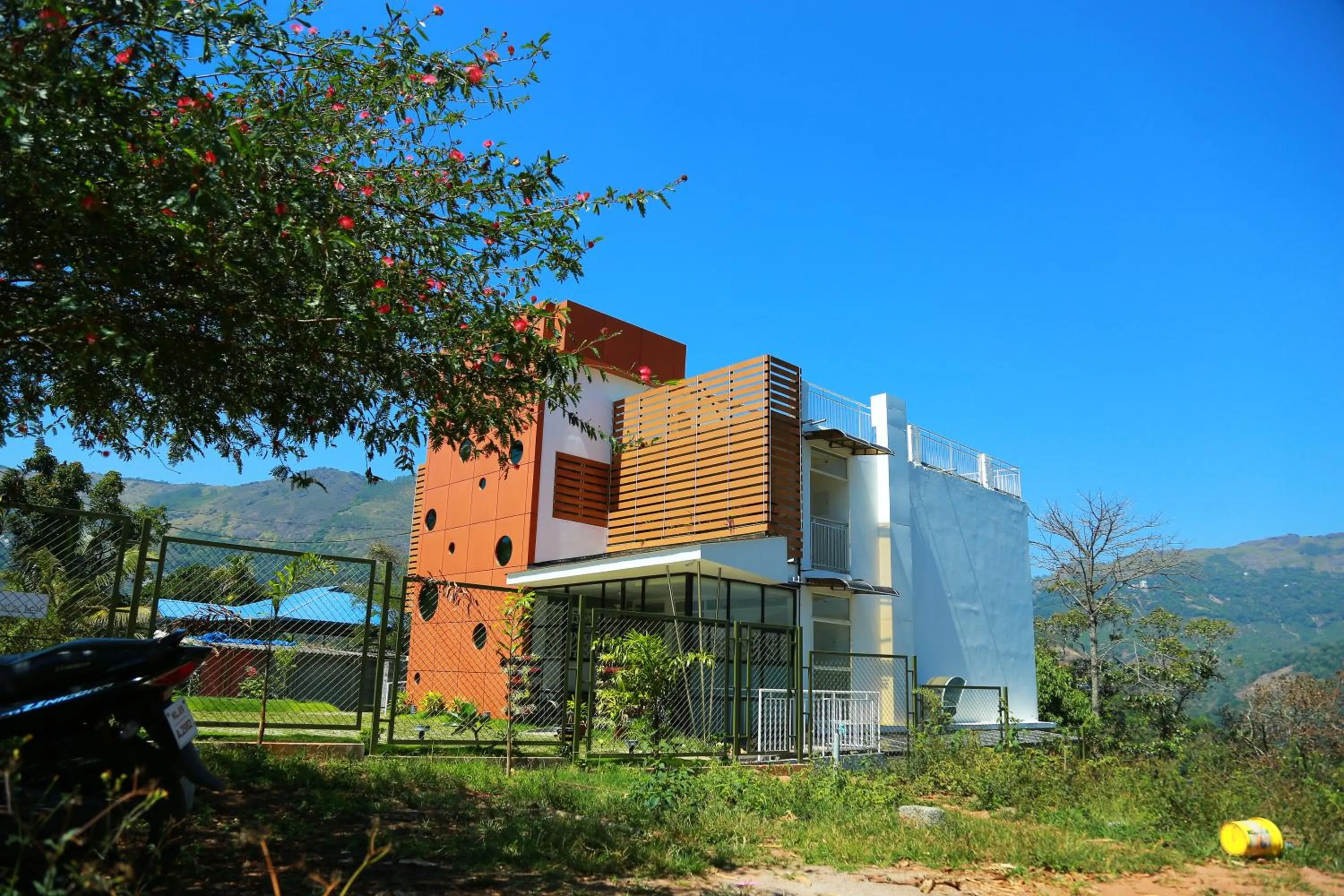 Palmtree Leaf, Munnar